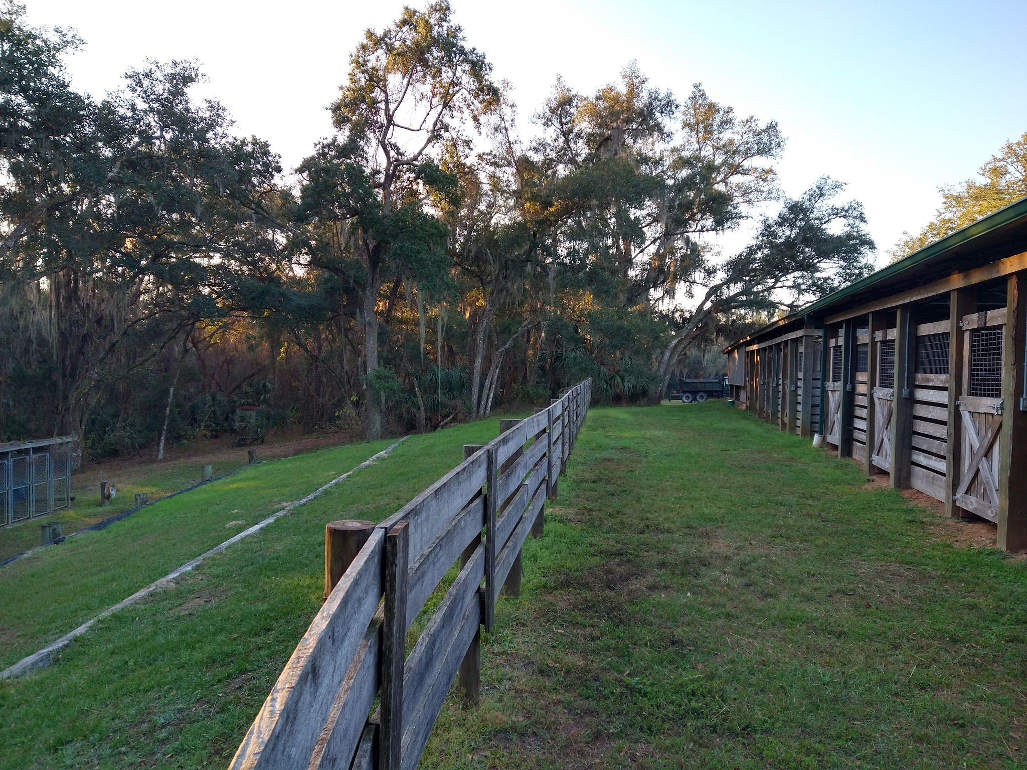Tillis Hill Equestrian Campground Withlacoochee State Forest