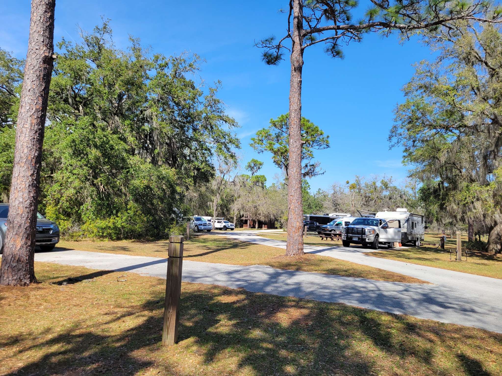Tillis Hill Equestrian Campground Withlacoochee State Forest