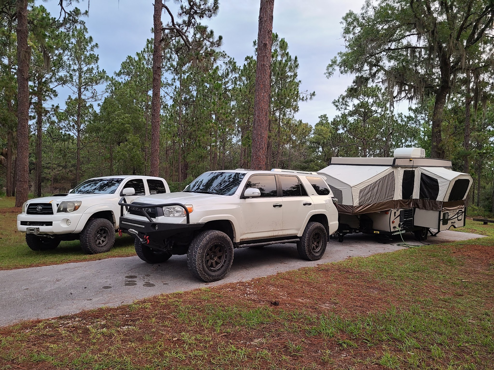 Tillis Hill Equestrian Campground Withlacoochee State Forest