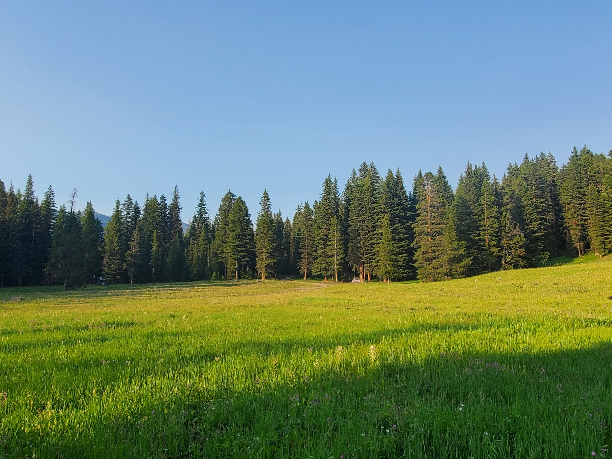 Timber Camp Campground