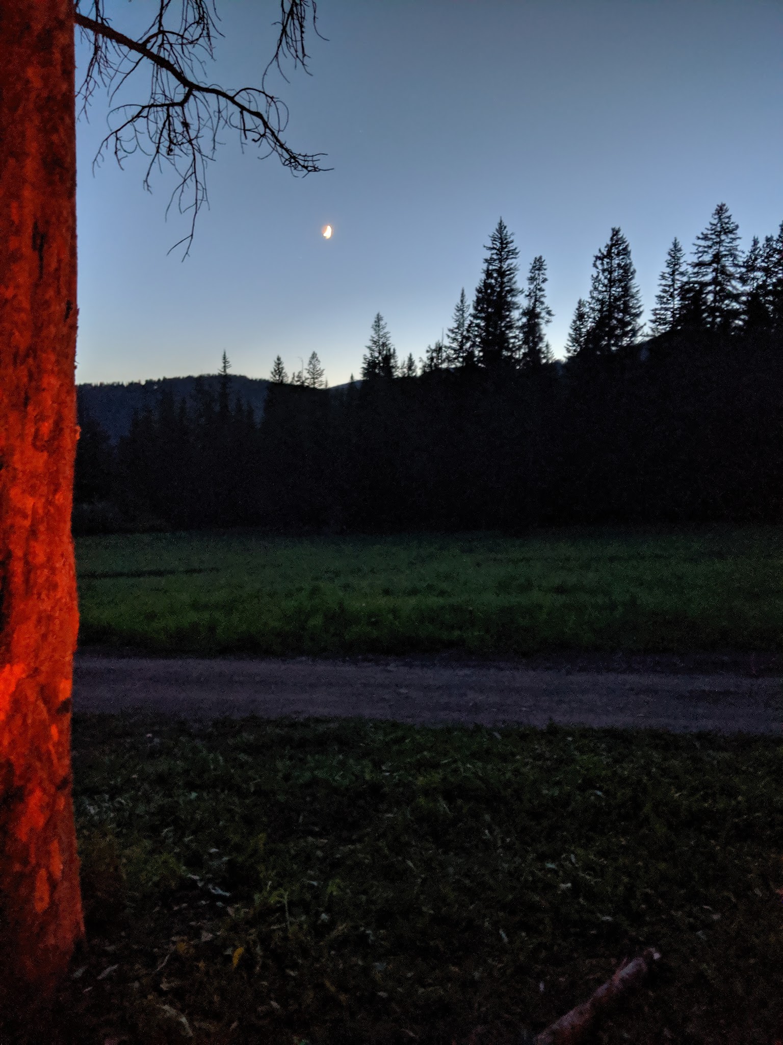 Timber Camp Campground