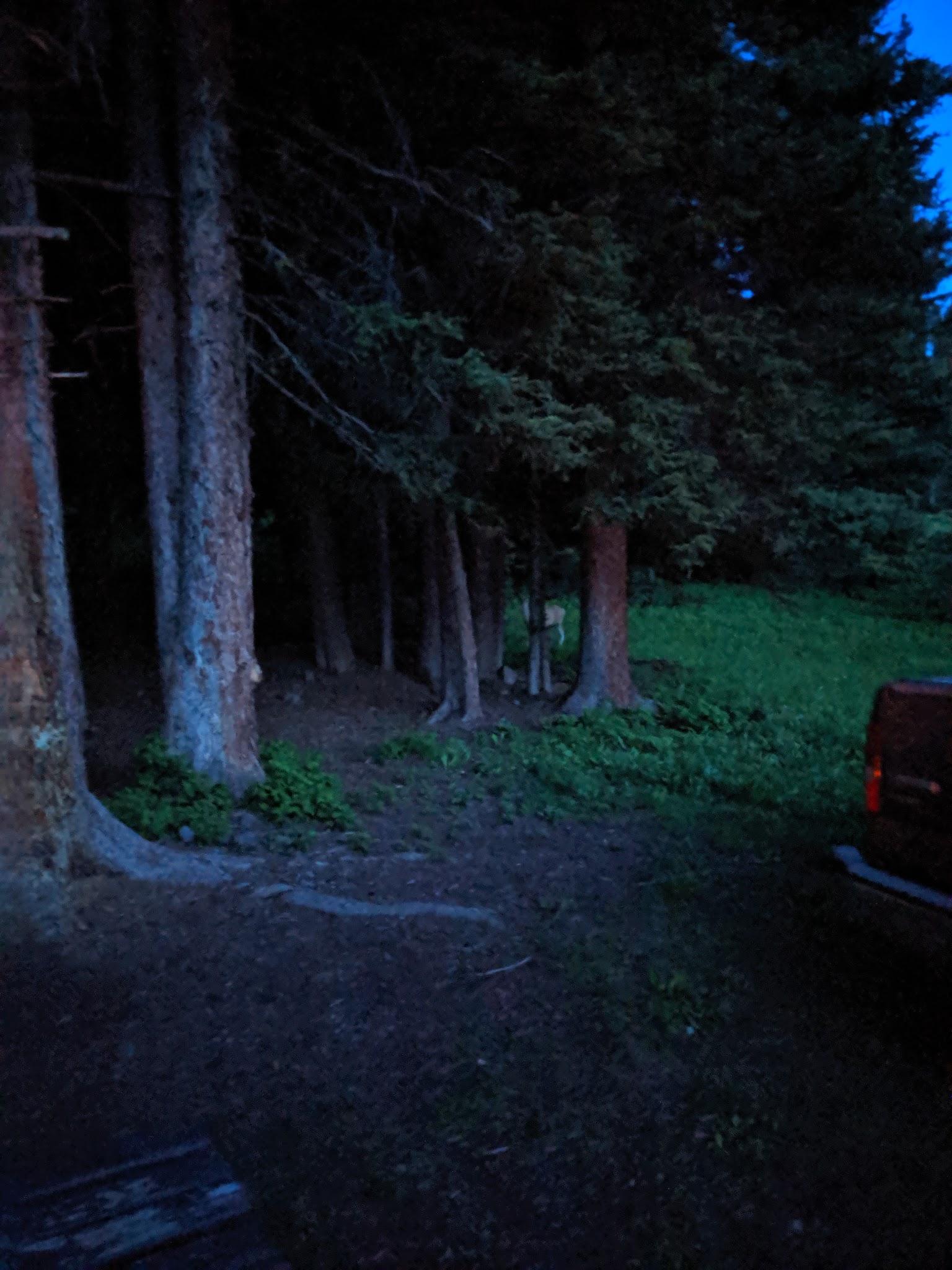 Timber Camp Campground