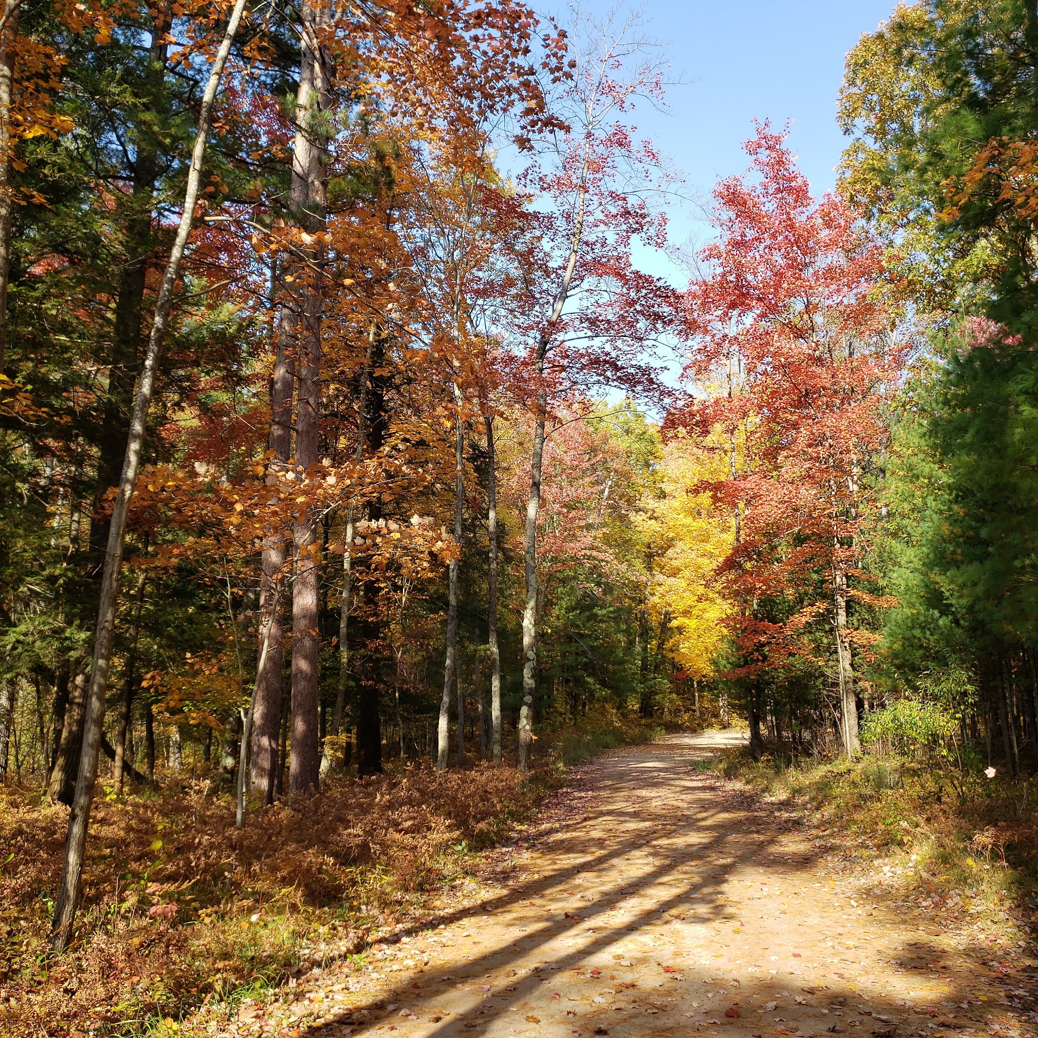 Timber Creek Campground