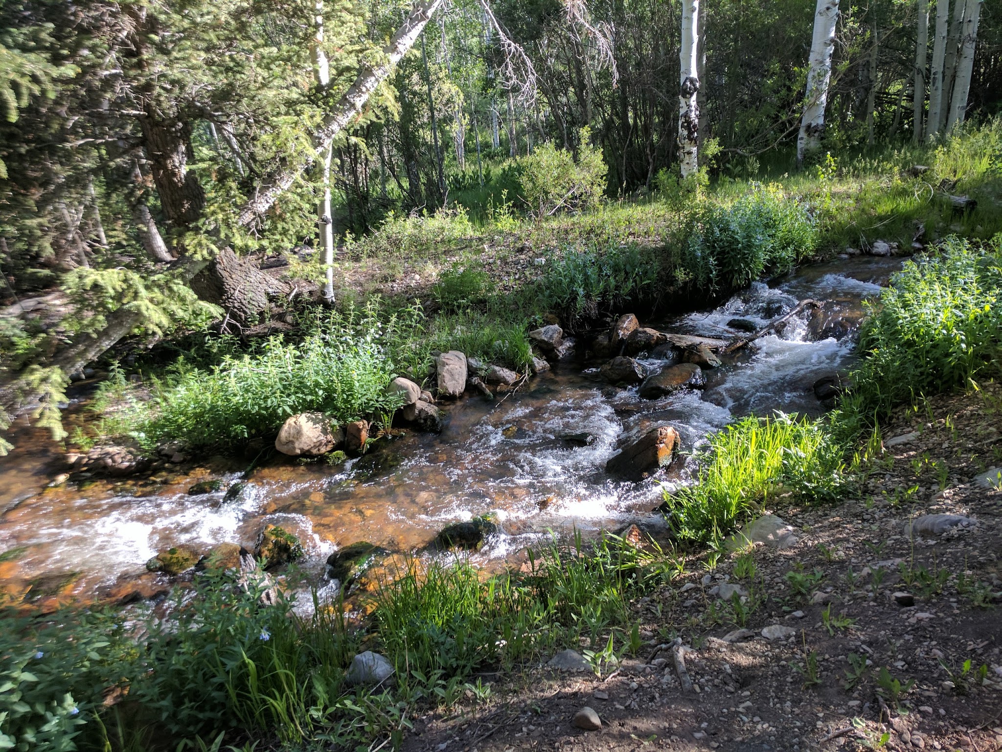 Timber Creek Campground