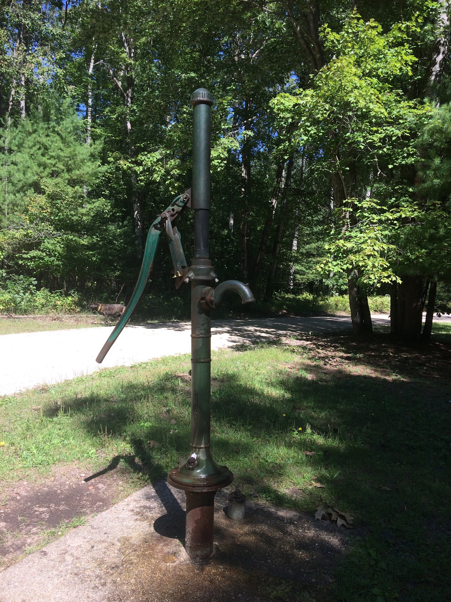 Timber Creek Campground