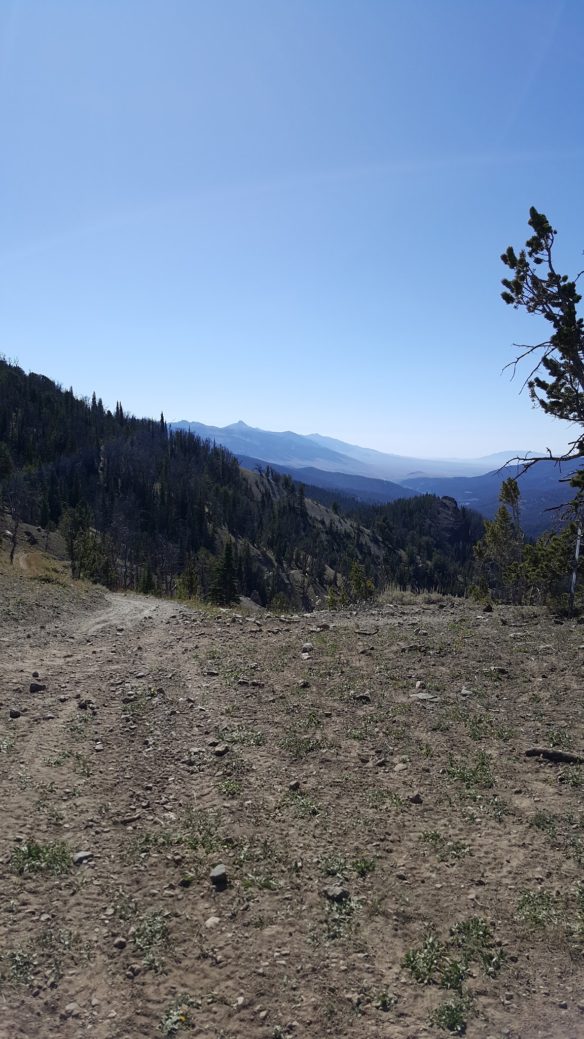 Timber Creek Campground