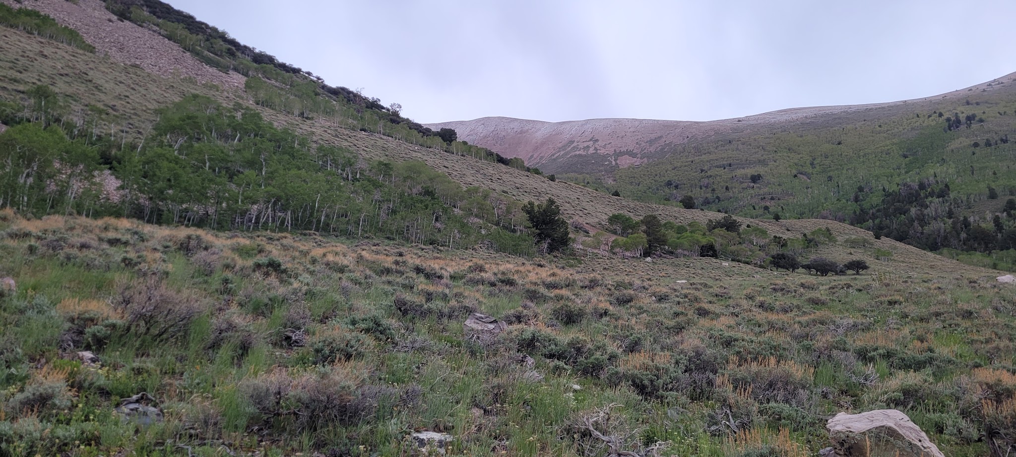 Timber Creek Campground