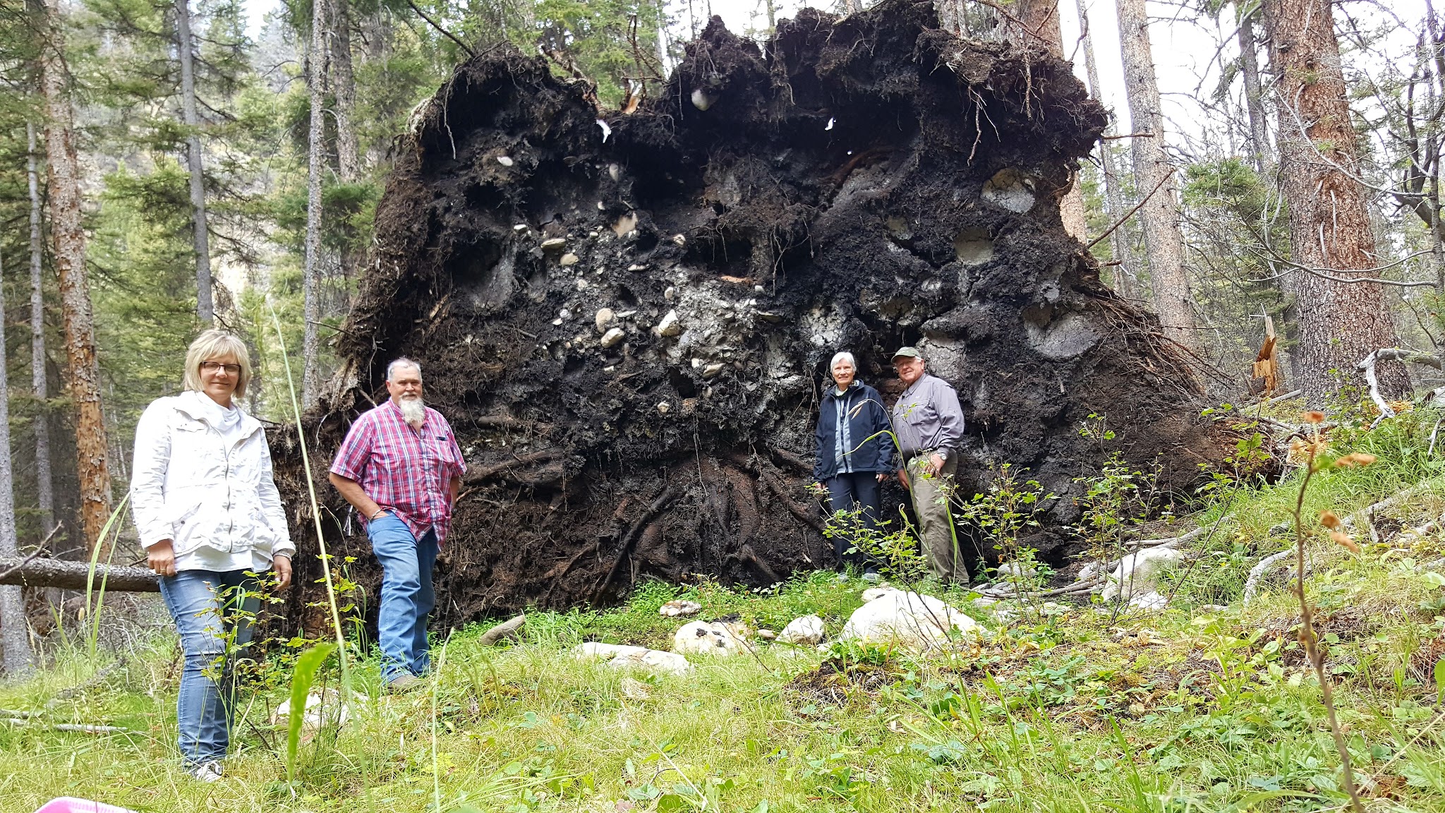 Timber Creek Campground