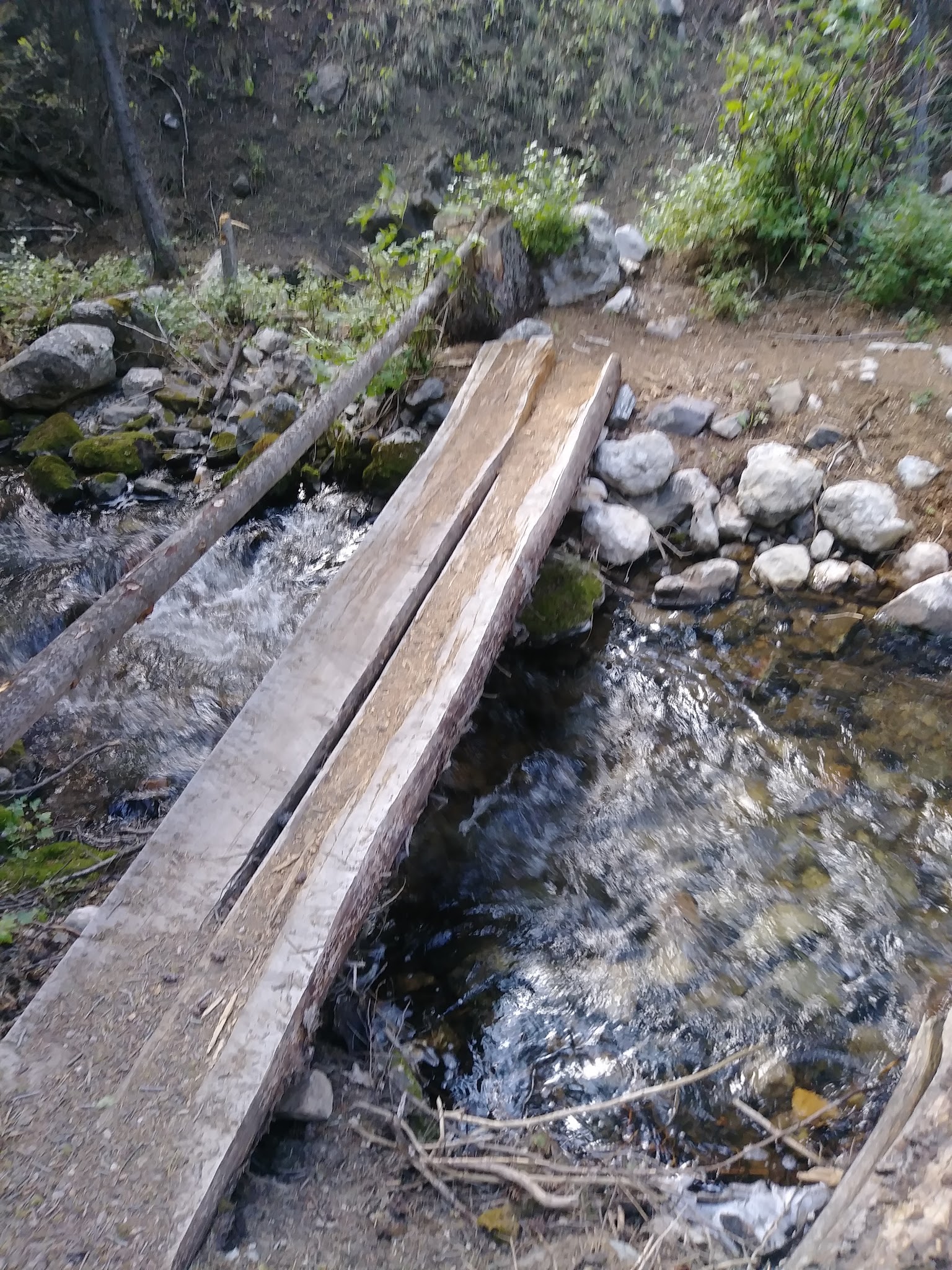 Timber Creek Campground