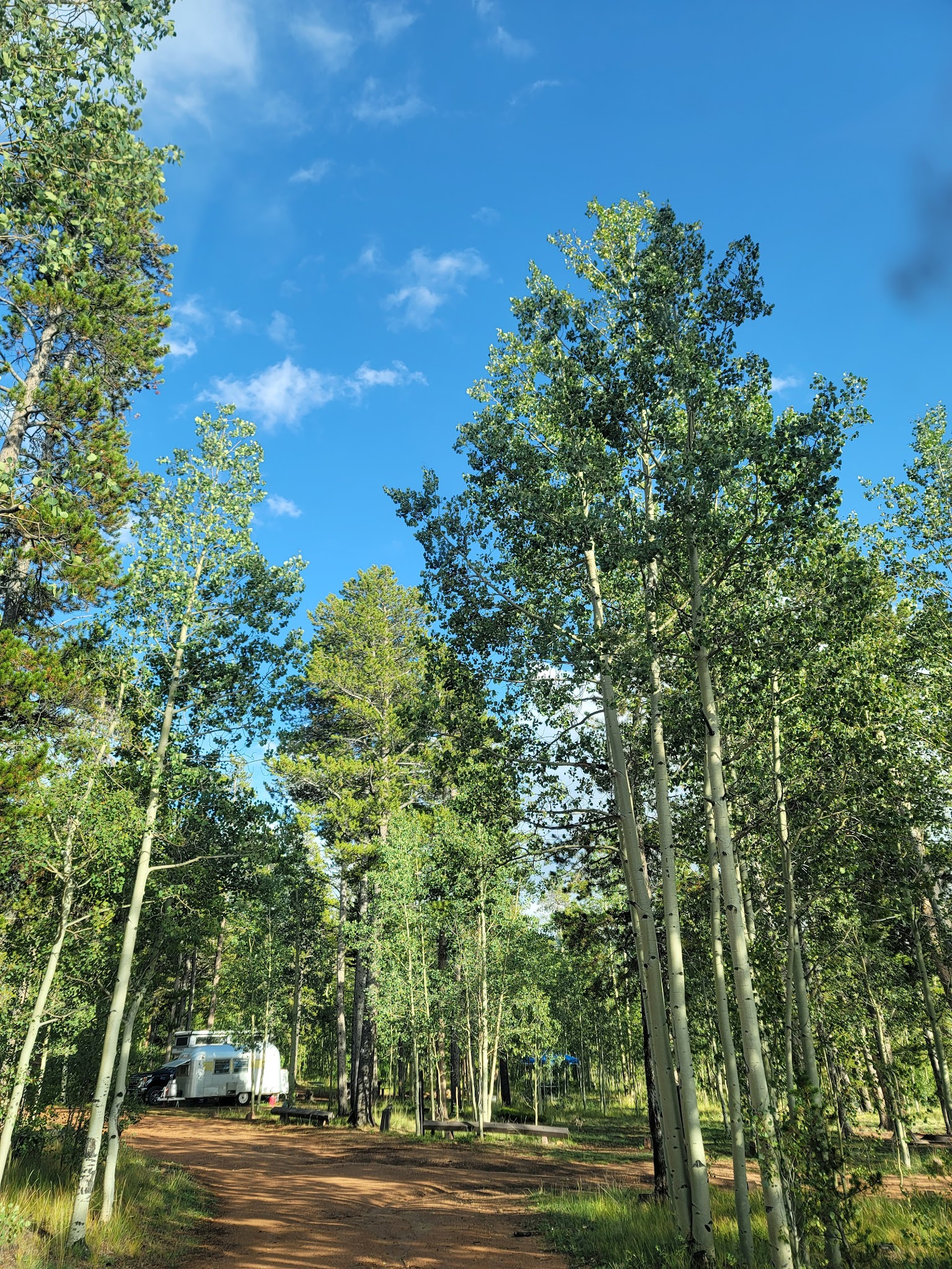 Timberline Campground