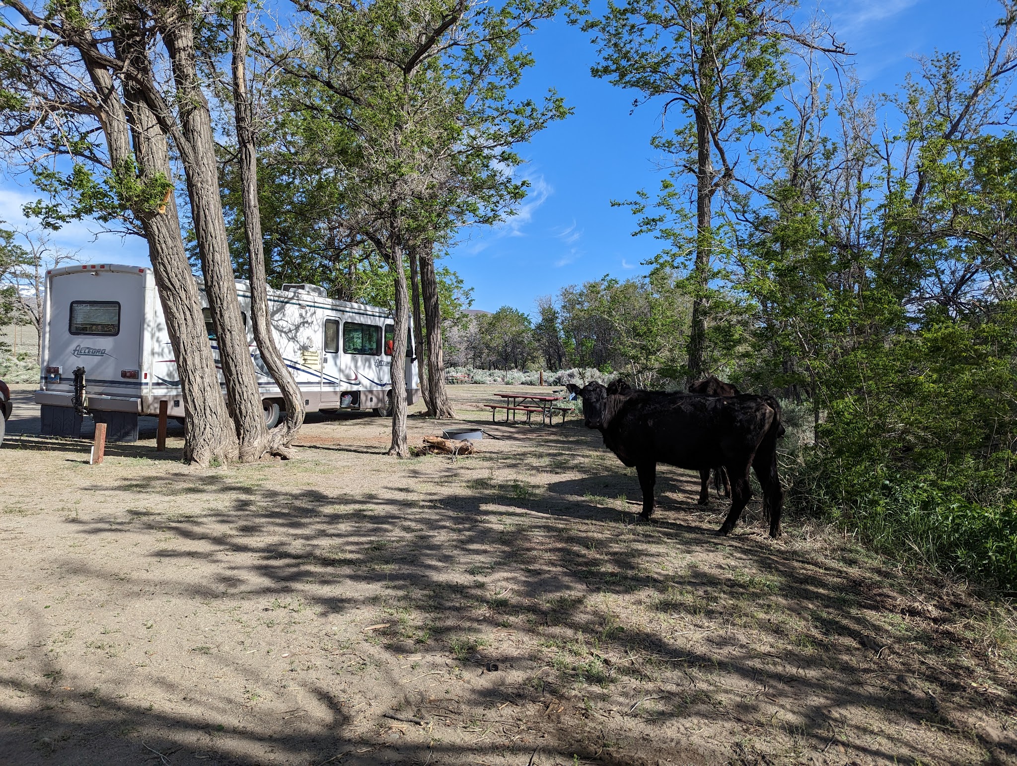 Tinnemaha Creek Campground