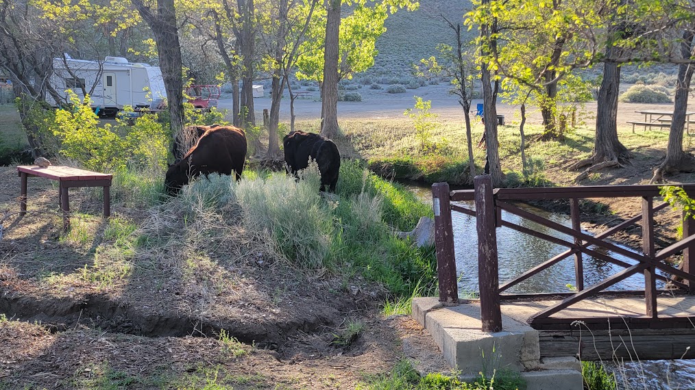 Tinnemaha Creek Campground