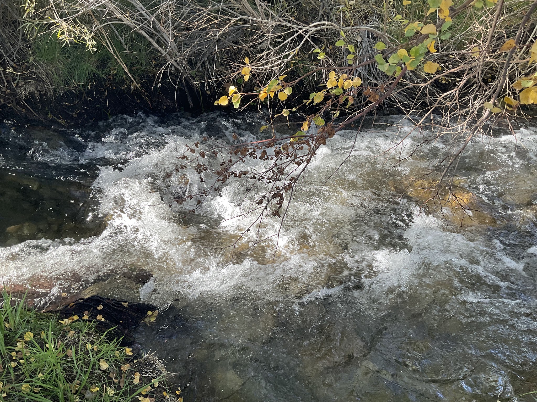 Tinnemaha Creek Campground