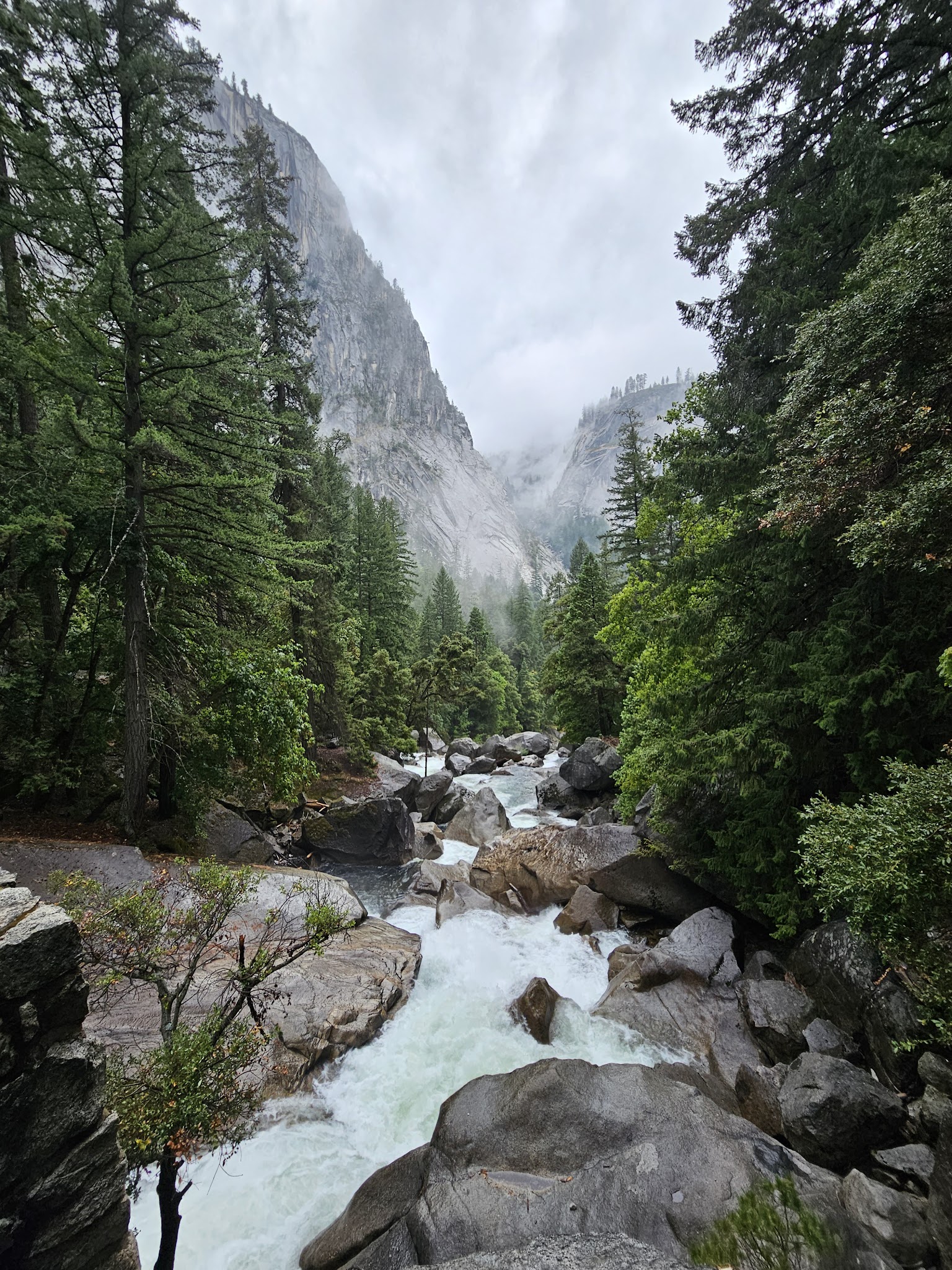 Tioga Lake Campground