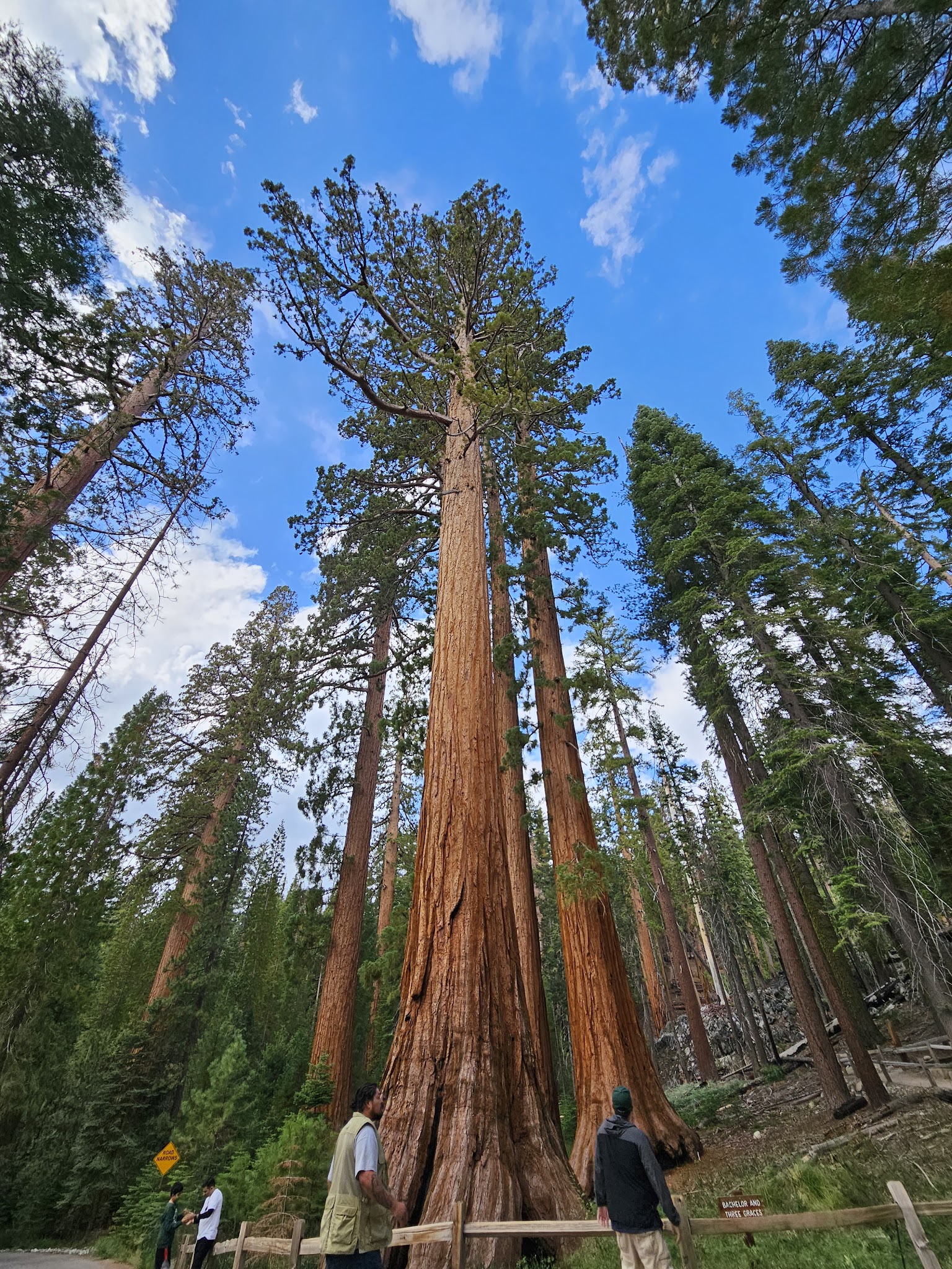 Tioga Lake Campground