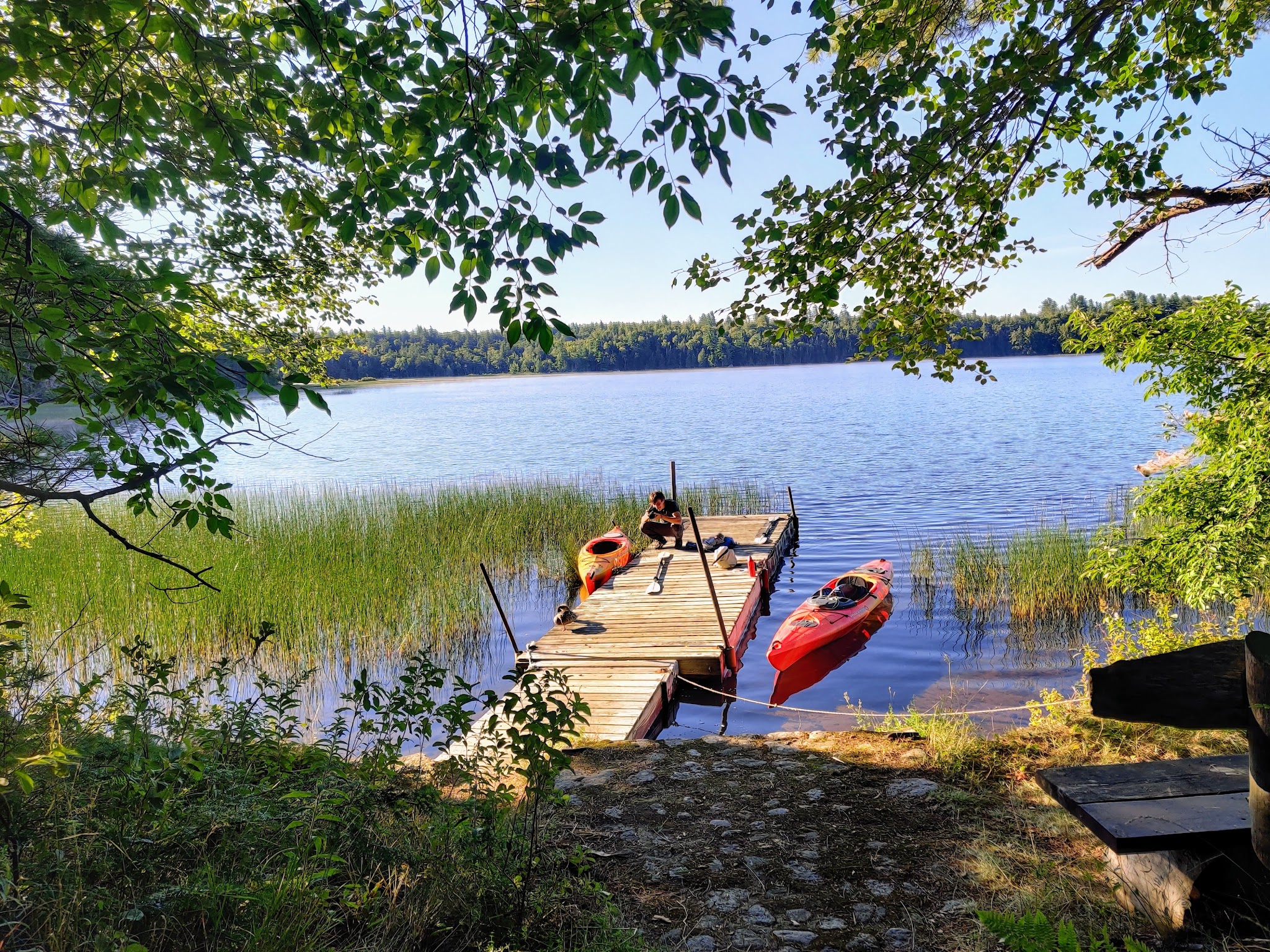 Tioga Point Campground