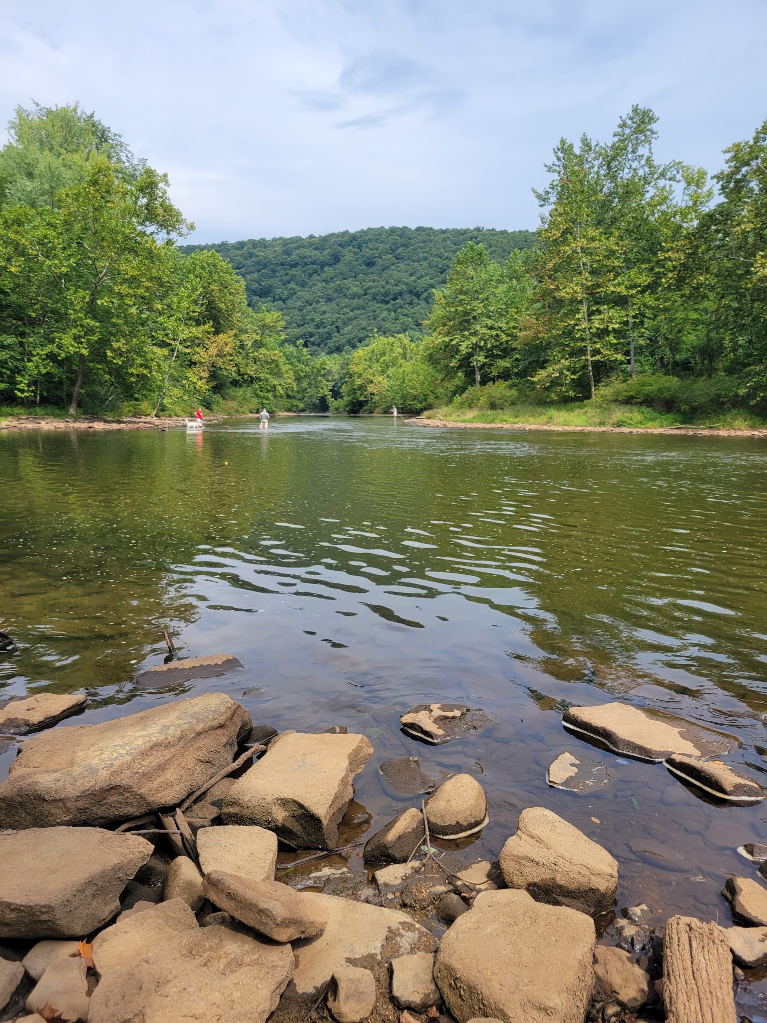 Tionesta Rec. Area Campground
