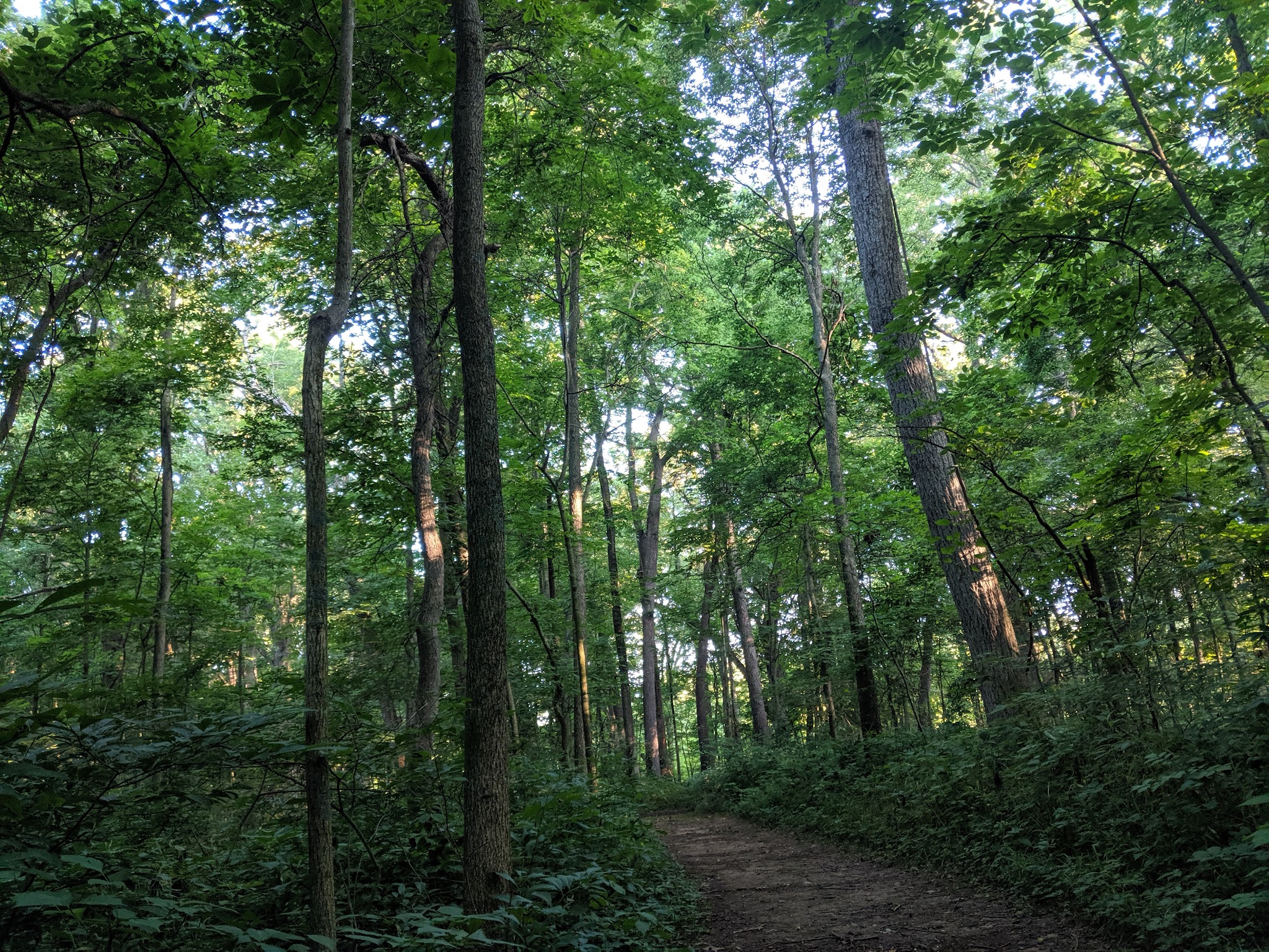 Tippecanoe River State Park