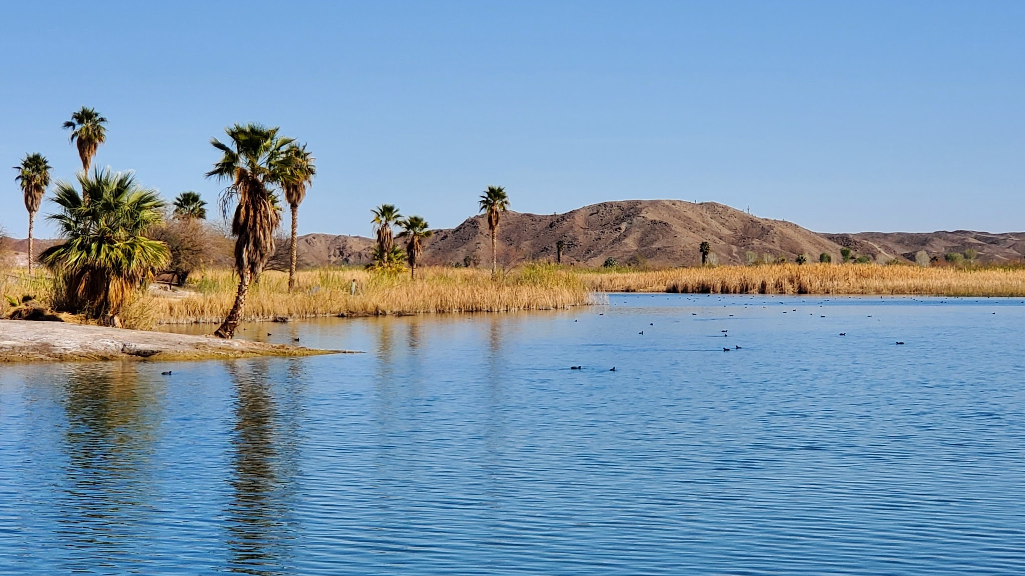 T.K. Jones Campground And Boat Launch