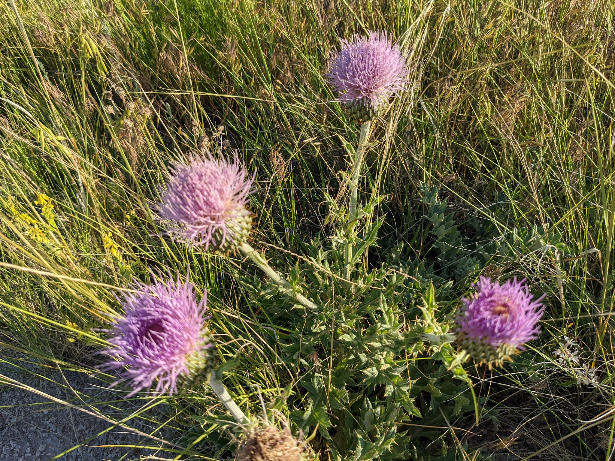 Toadstool Geological Park And Campground