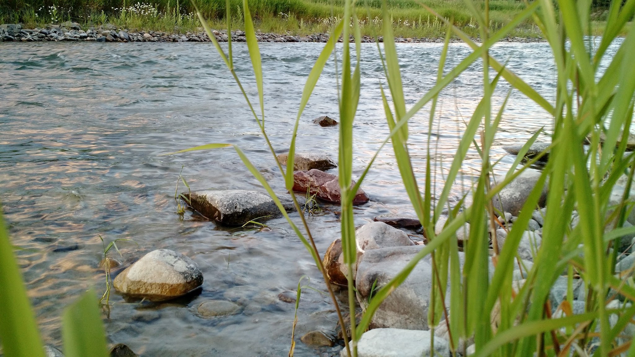 Tobacco River Campground