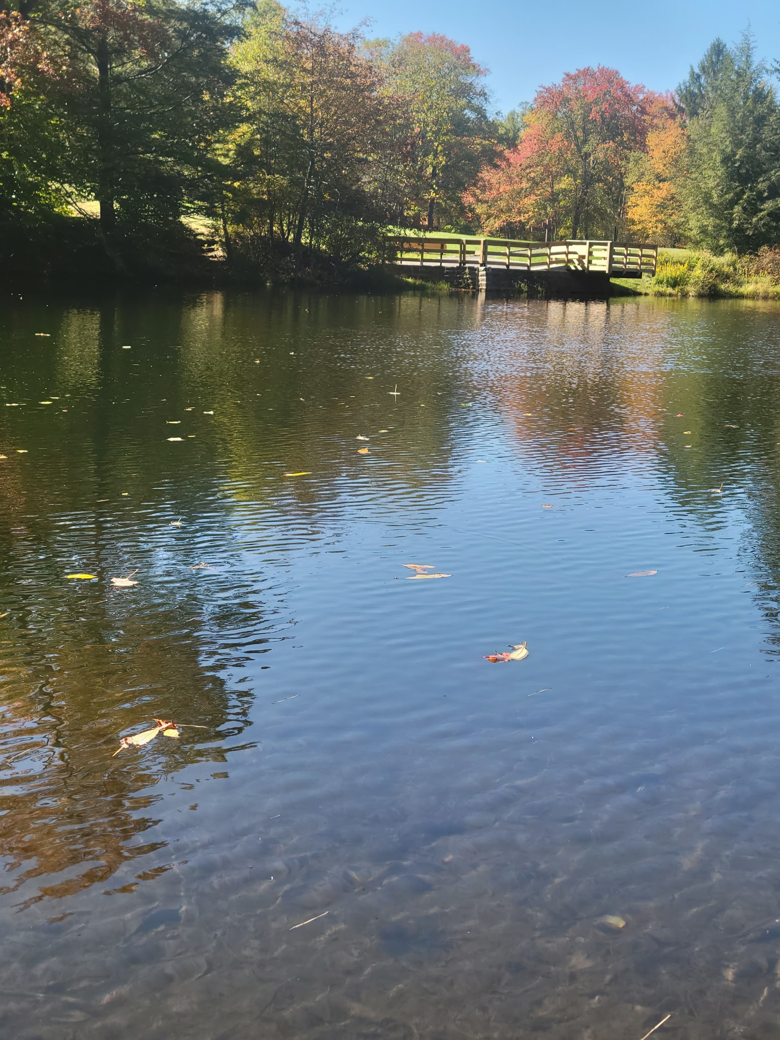 Tobyhanna State Park