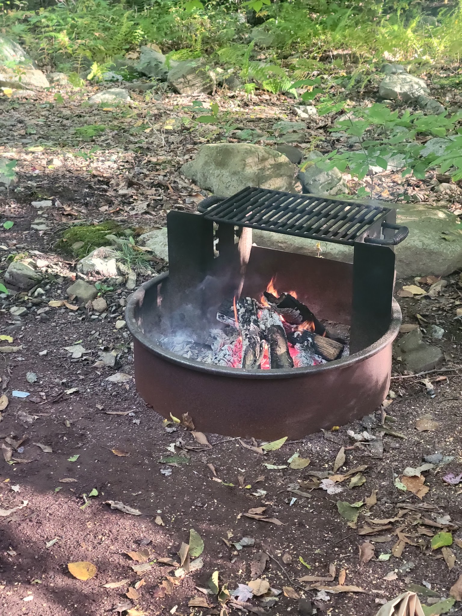 Tobyhanna State Park