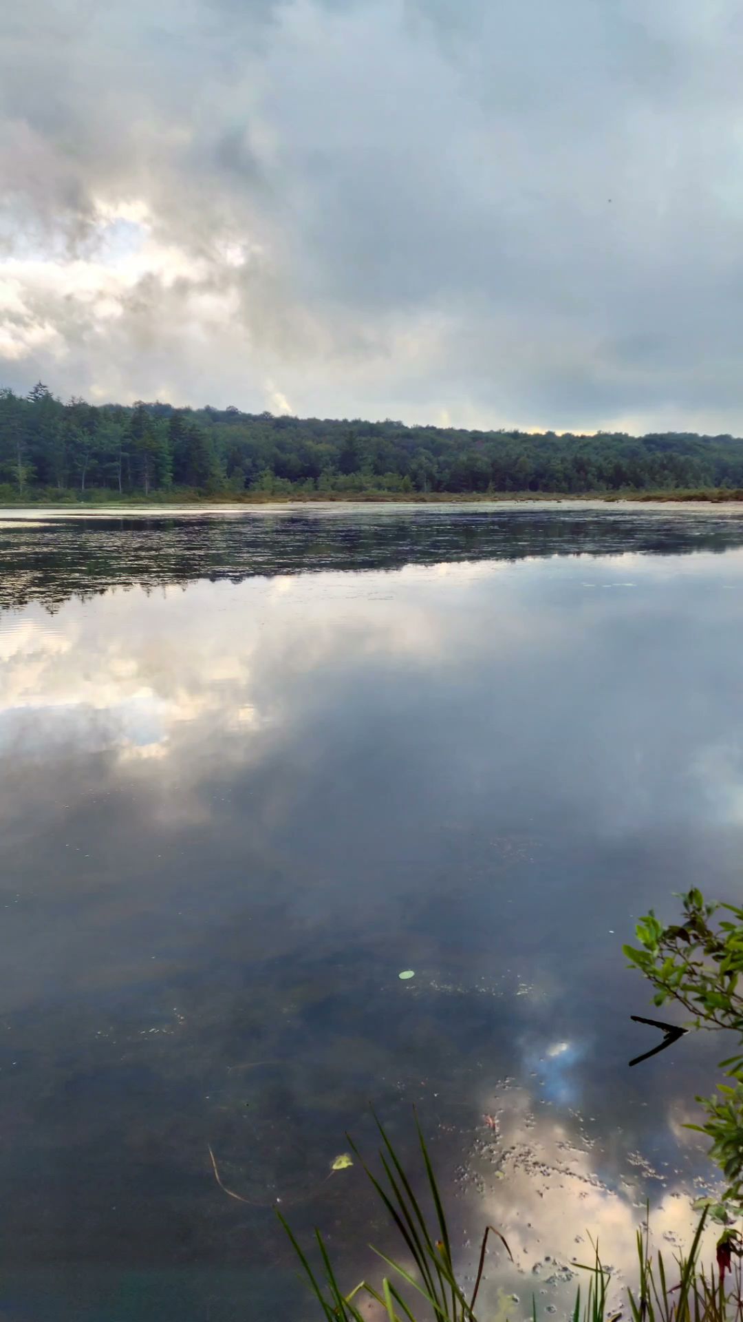 Tobyhanna State Park