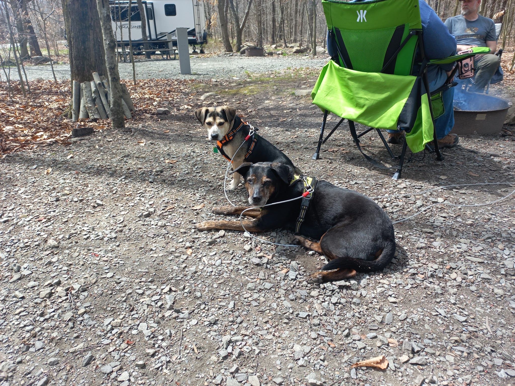 Tobyhanna State Park