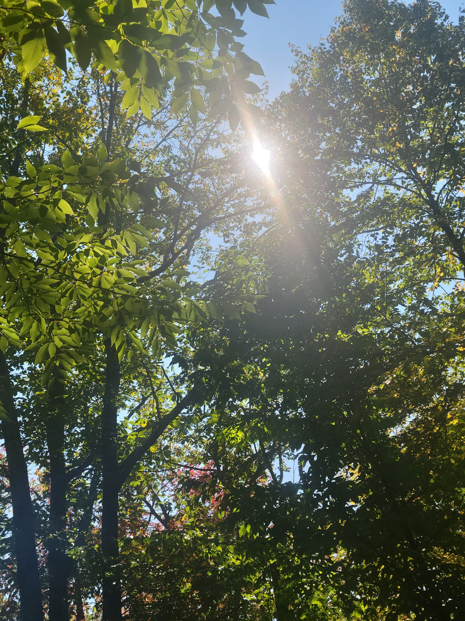 Tobyhanna State Park