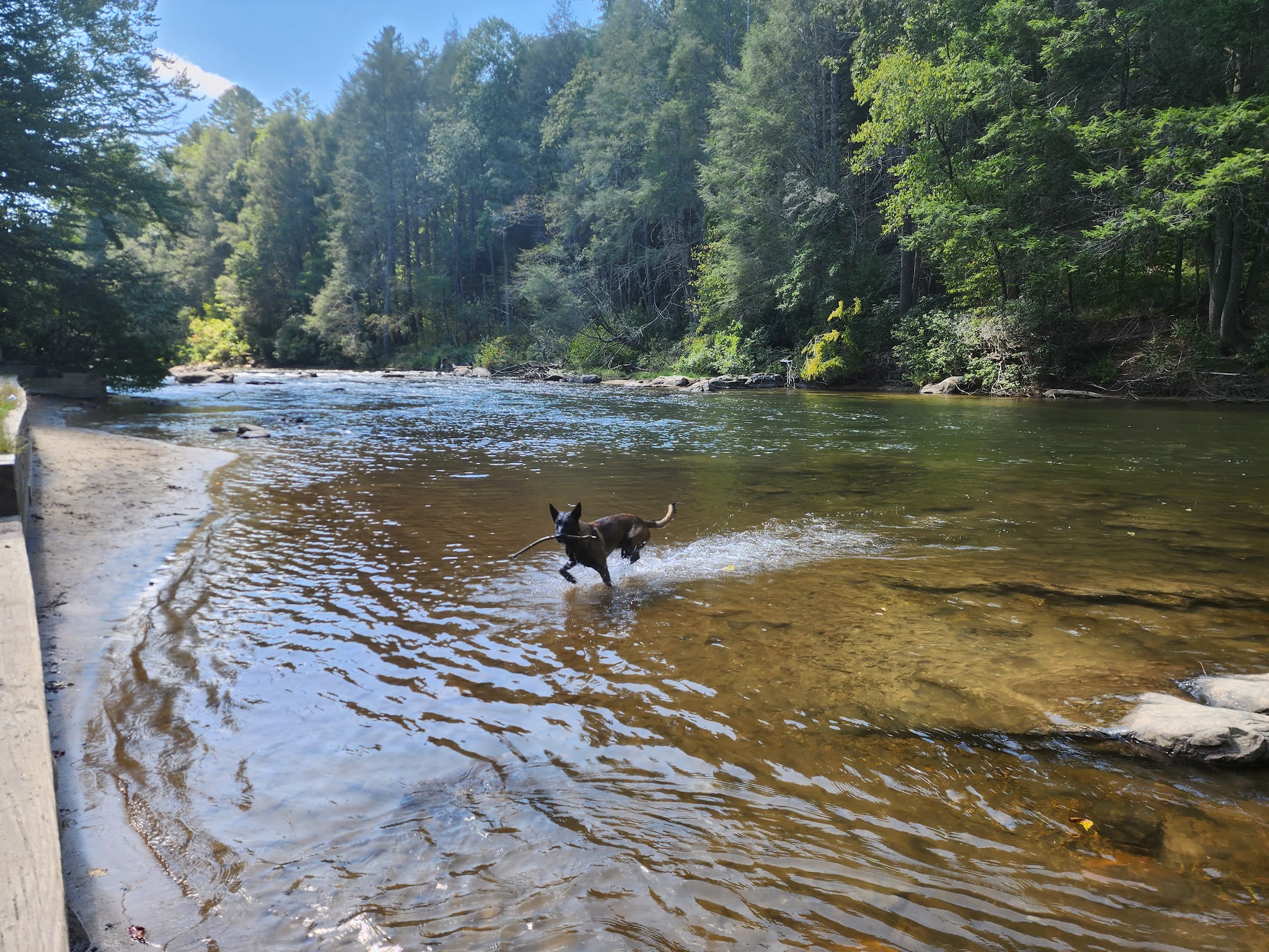 Toccoa River Sandy Bottoms Campground