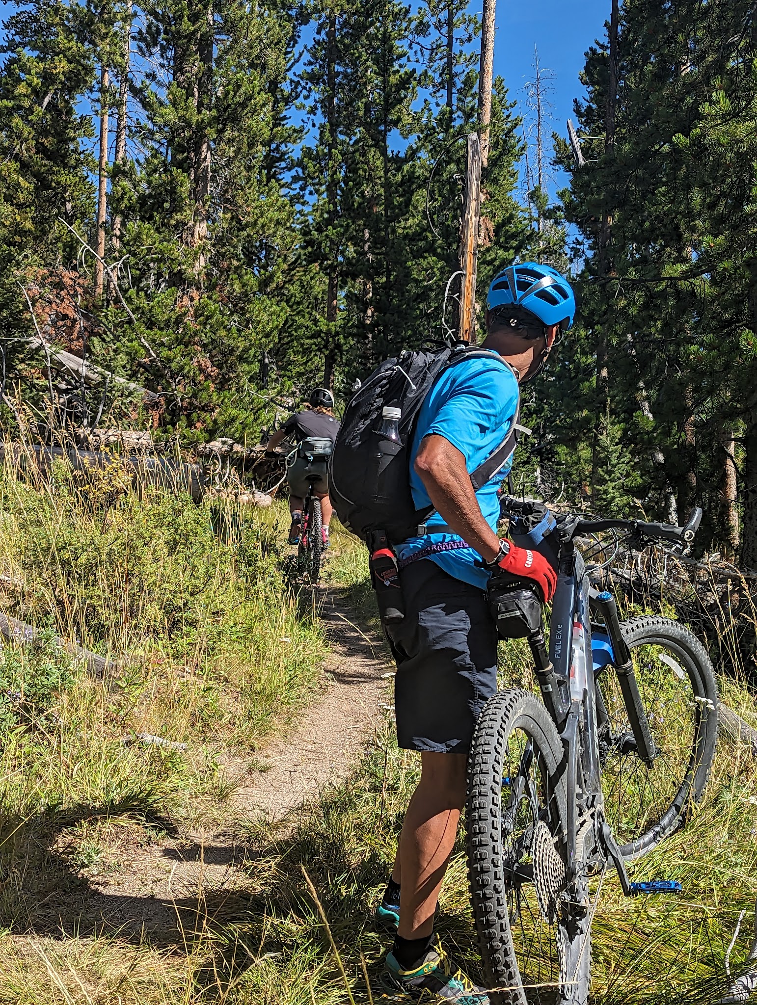Toll Mountain Campground