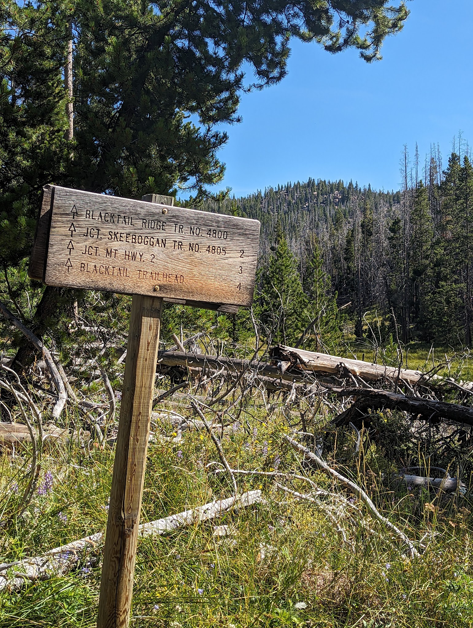 Toll Mountain Campground