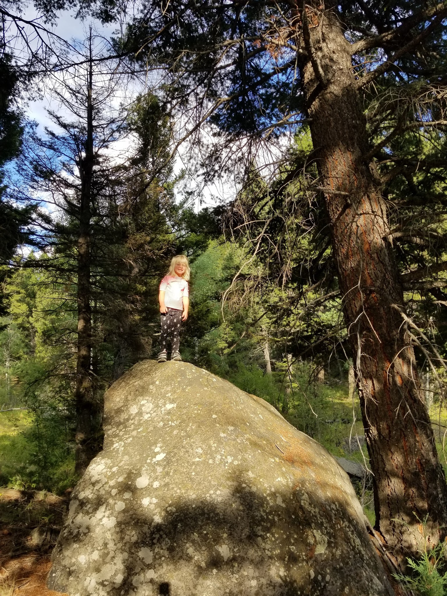 Toll Mountain Campground