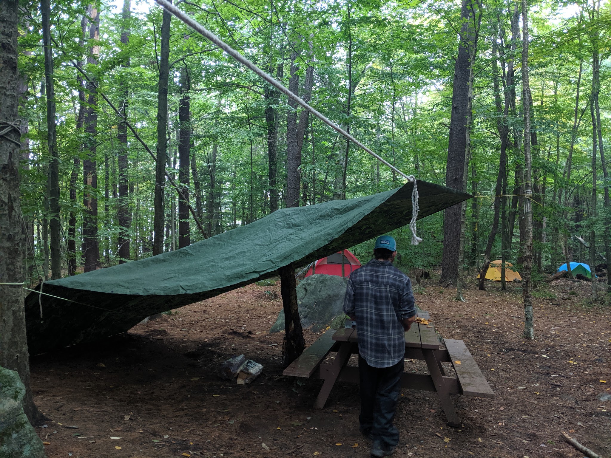 Tolland State Forest