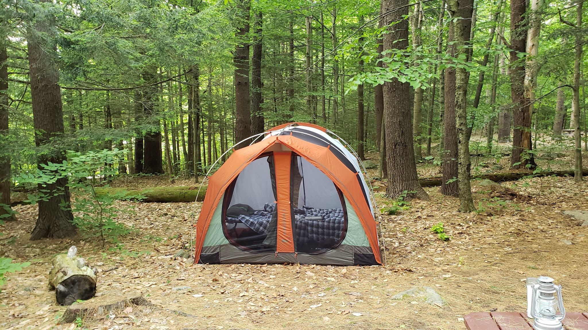 Tolland State Forest