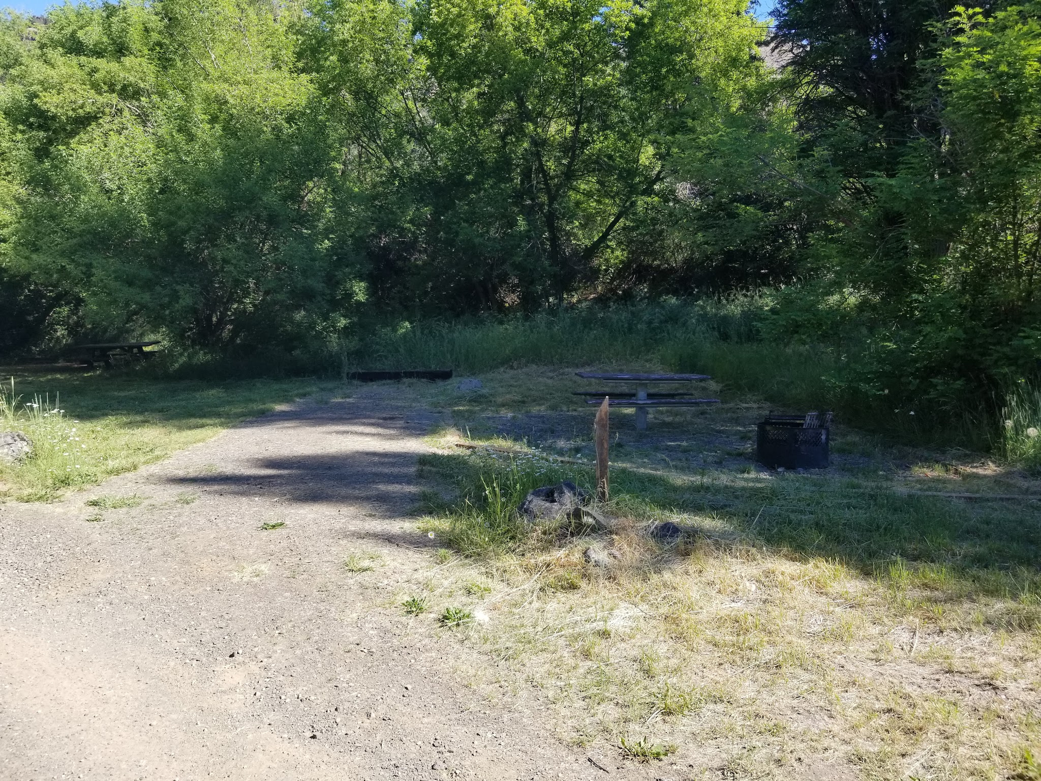 Tollbridge Campground