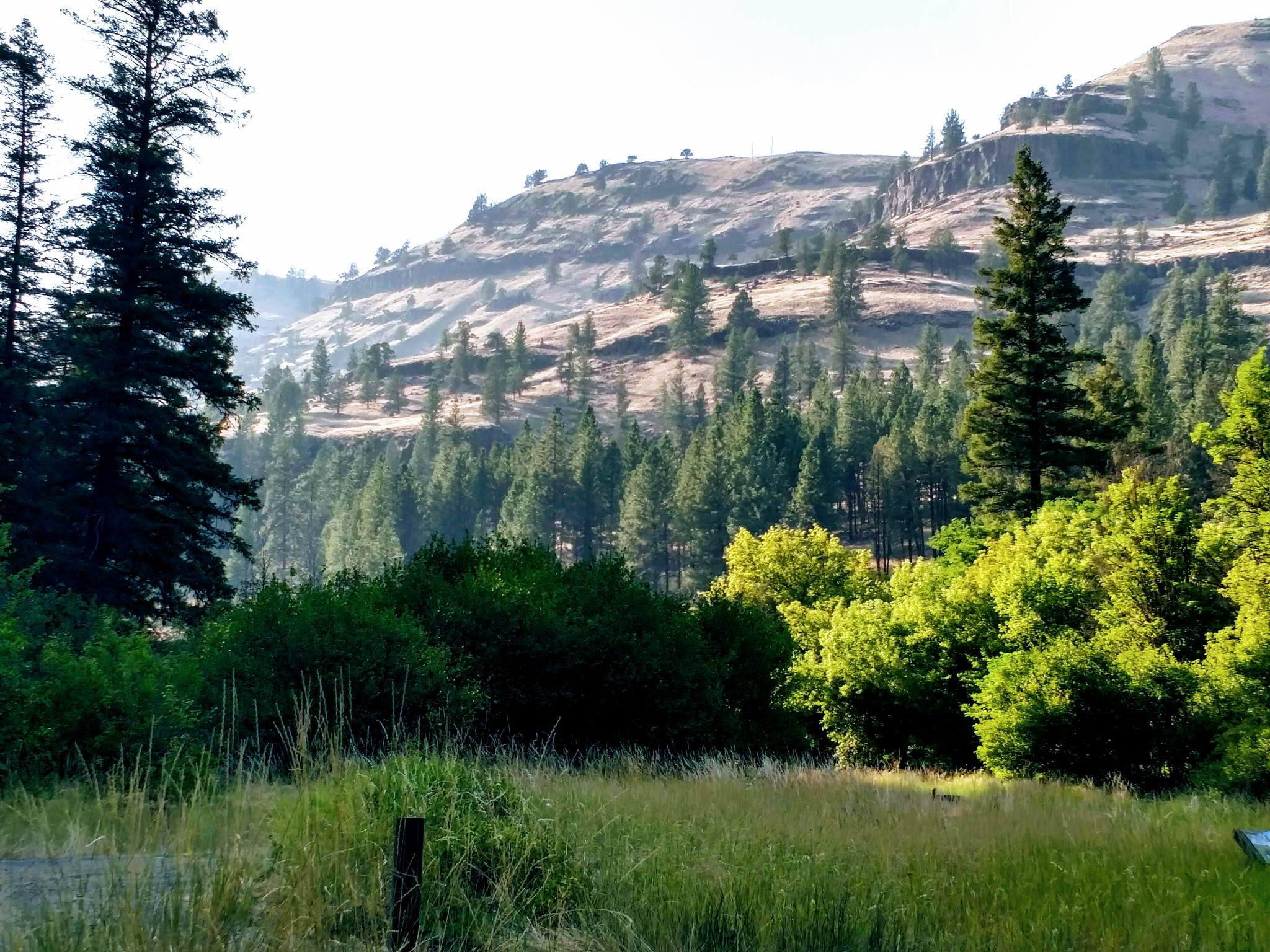 Tollbridge Campground