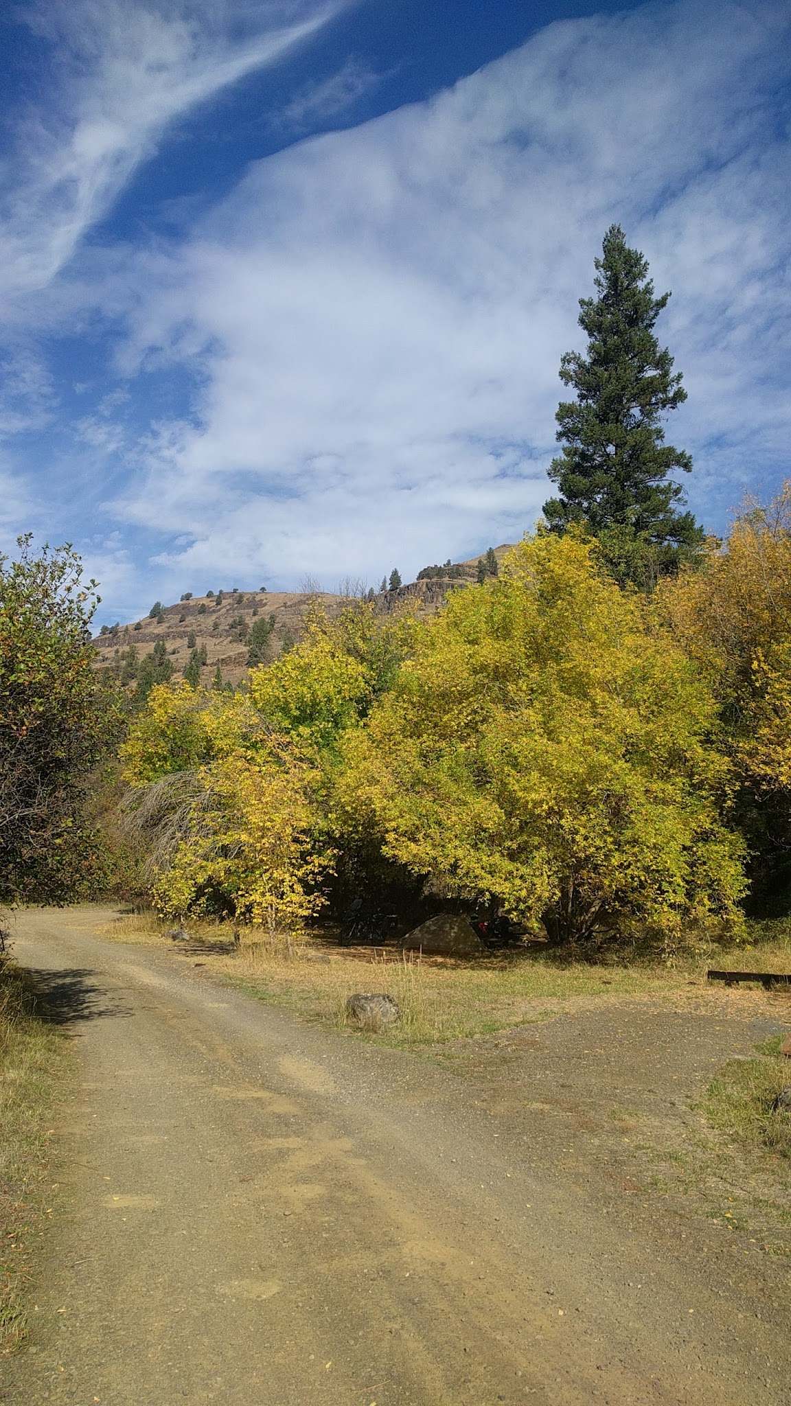 Tollbridge Campground