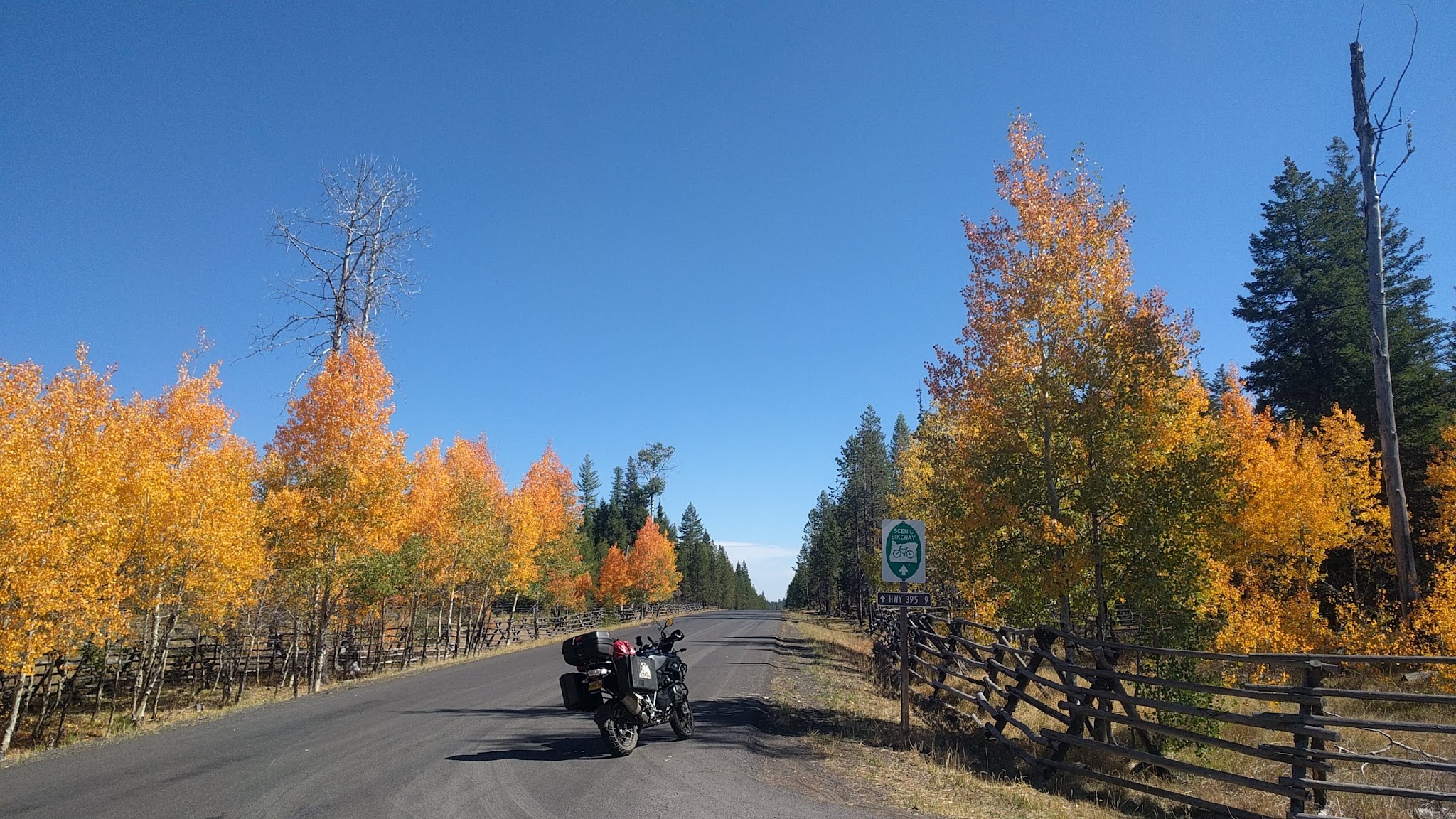 Tollbridge Campground