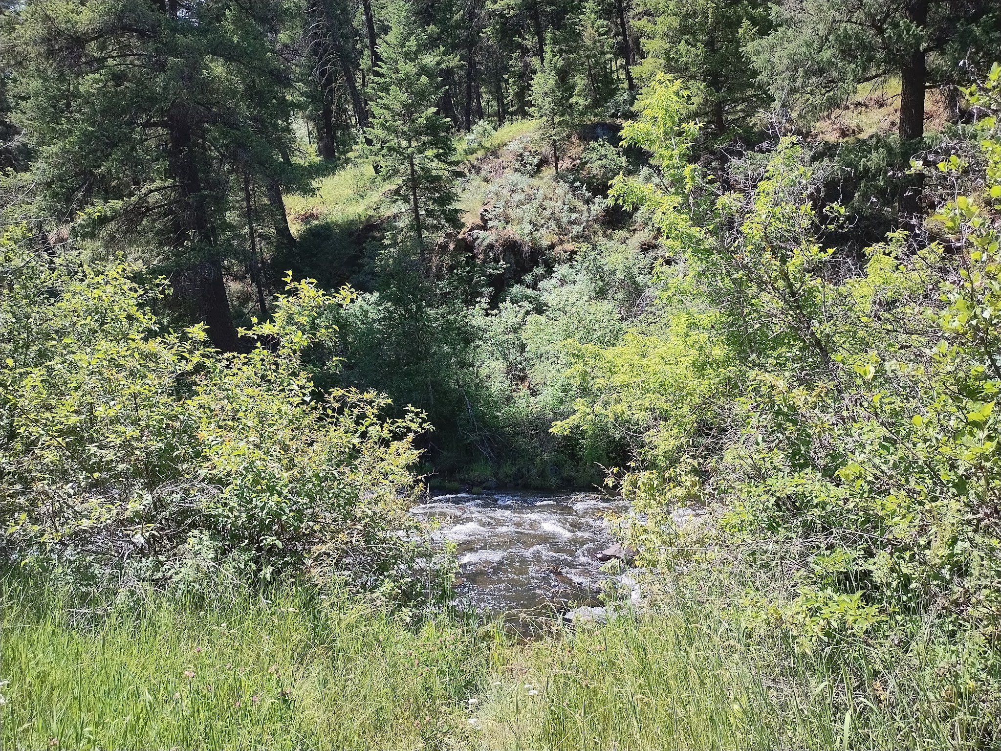 Tollbridge Campground