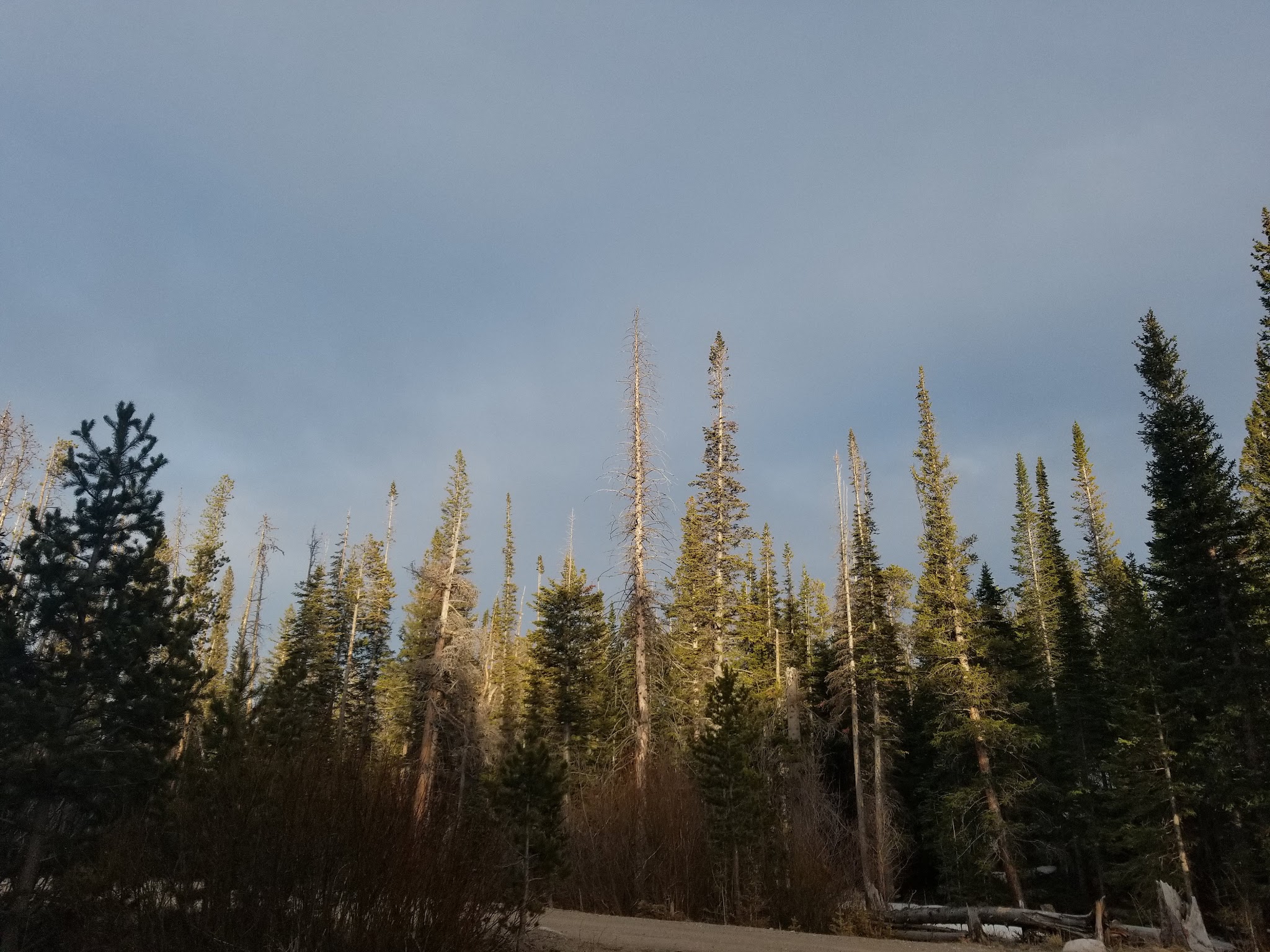 Tom Bennett Campground