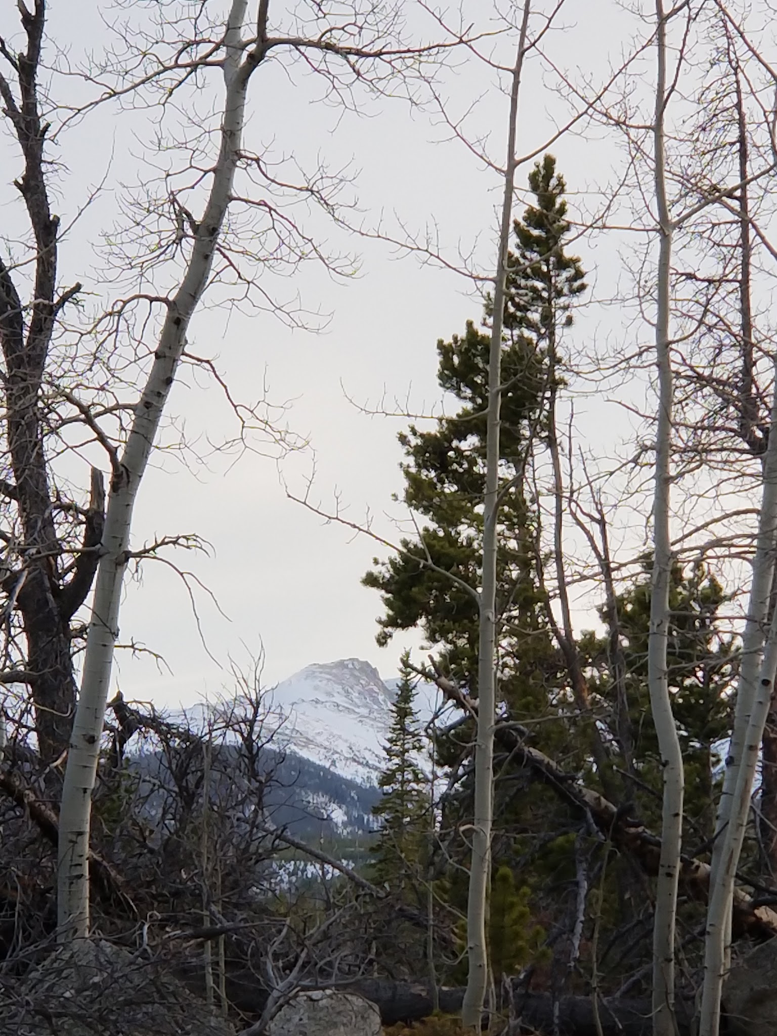 Tom Bennett Campground