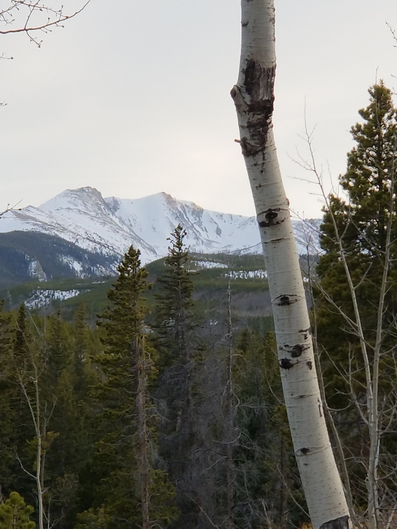 Tom Bennett Campground