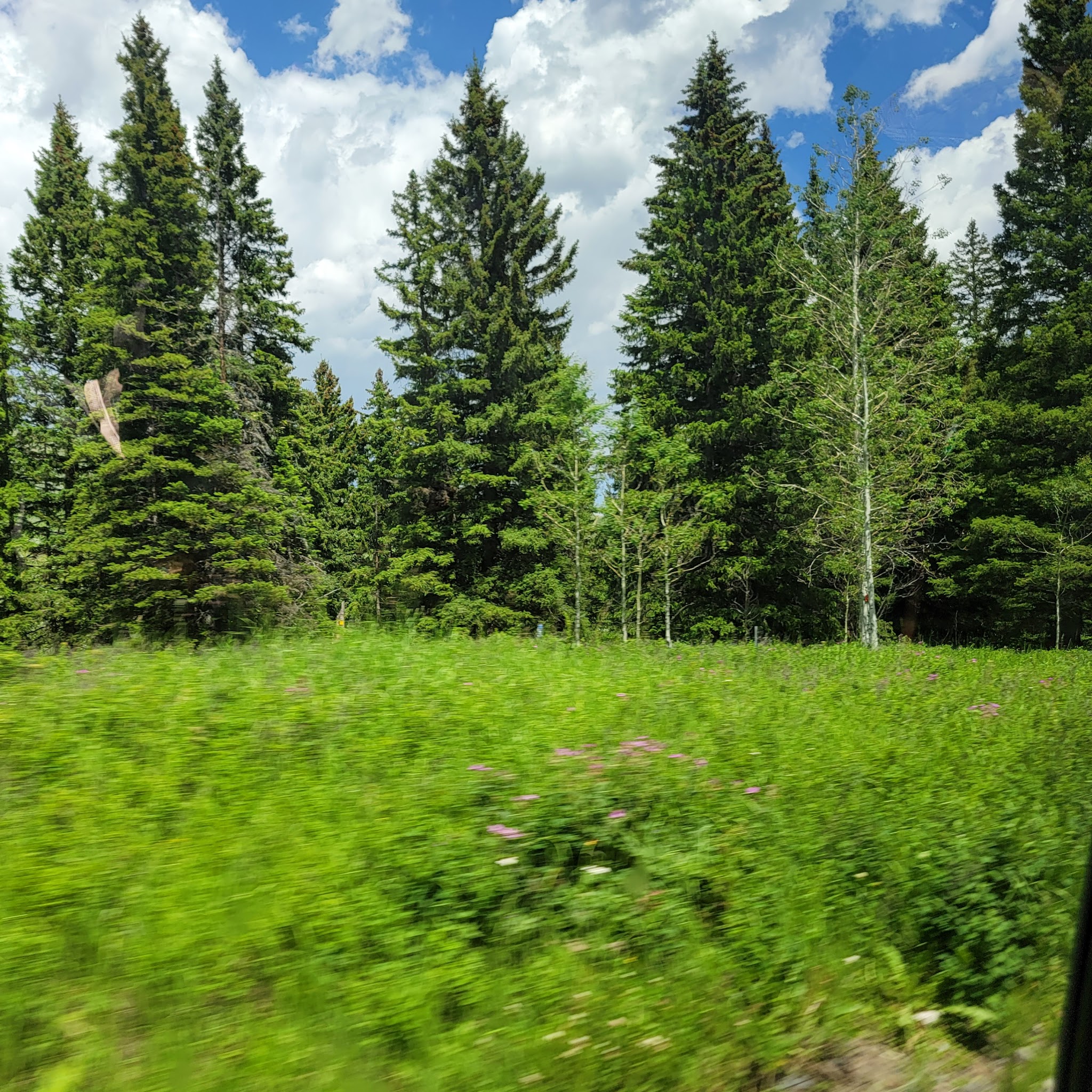 Tom Miner Campground