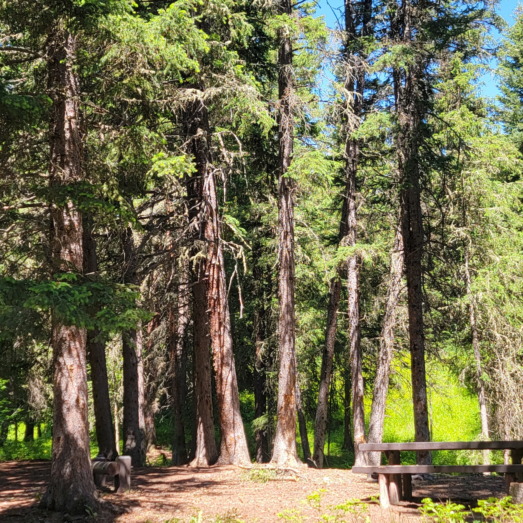 Tom Miner Campground