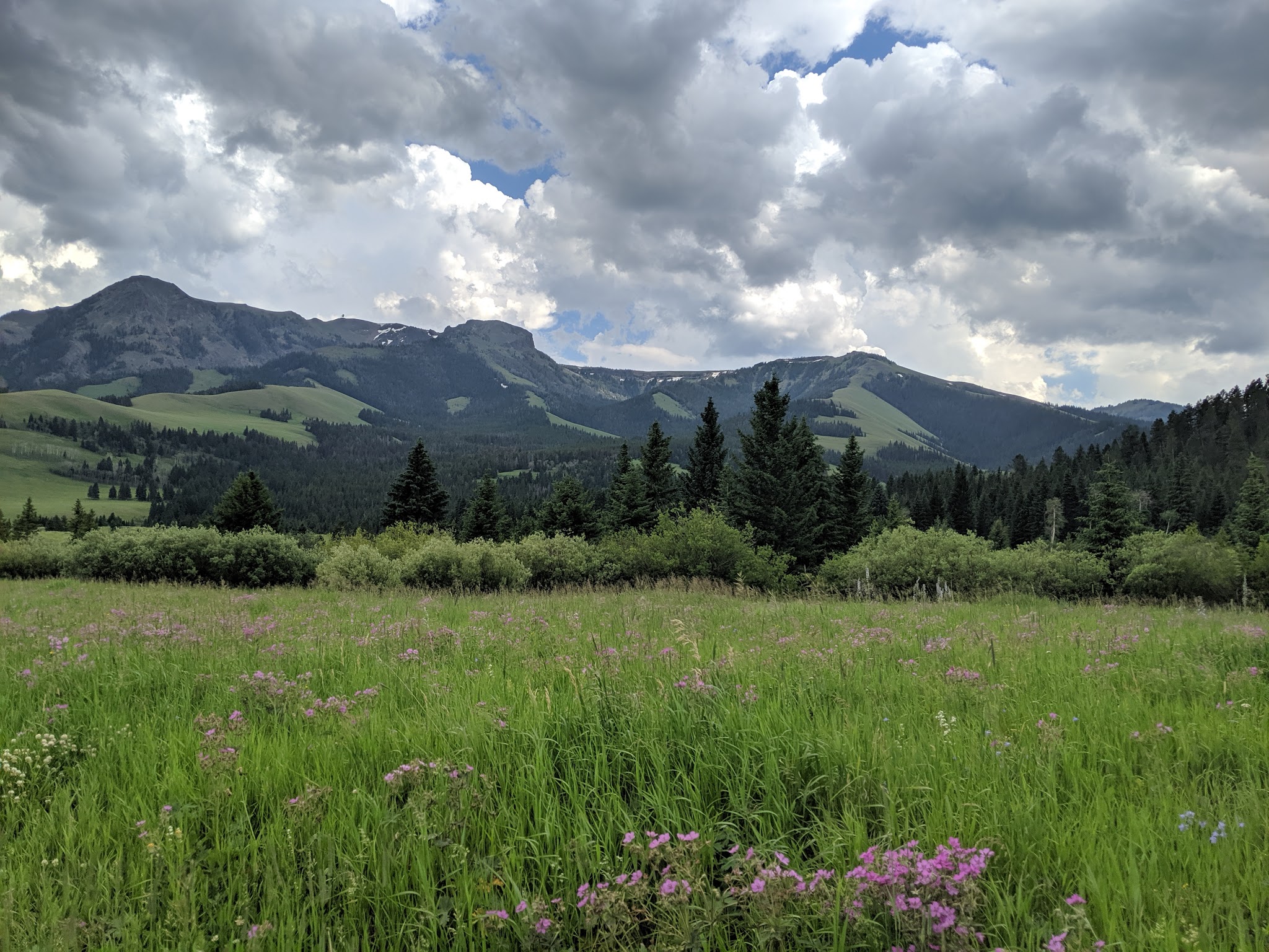 Tom Miner Campground