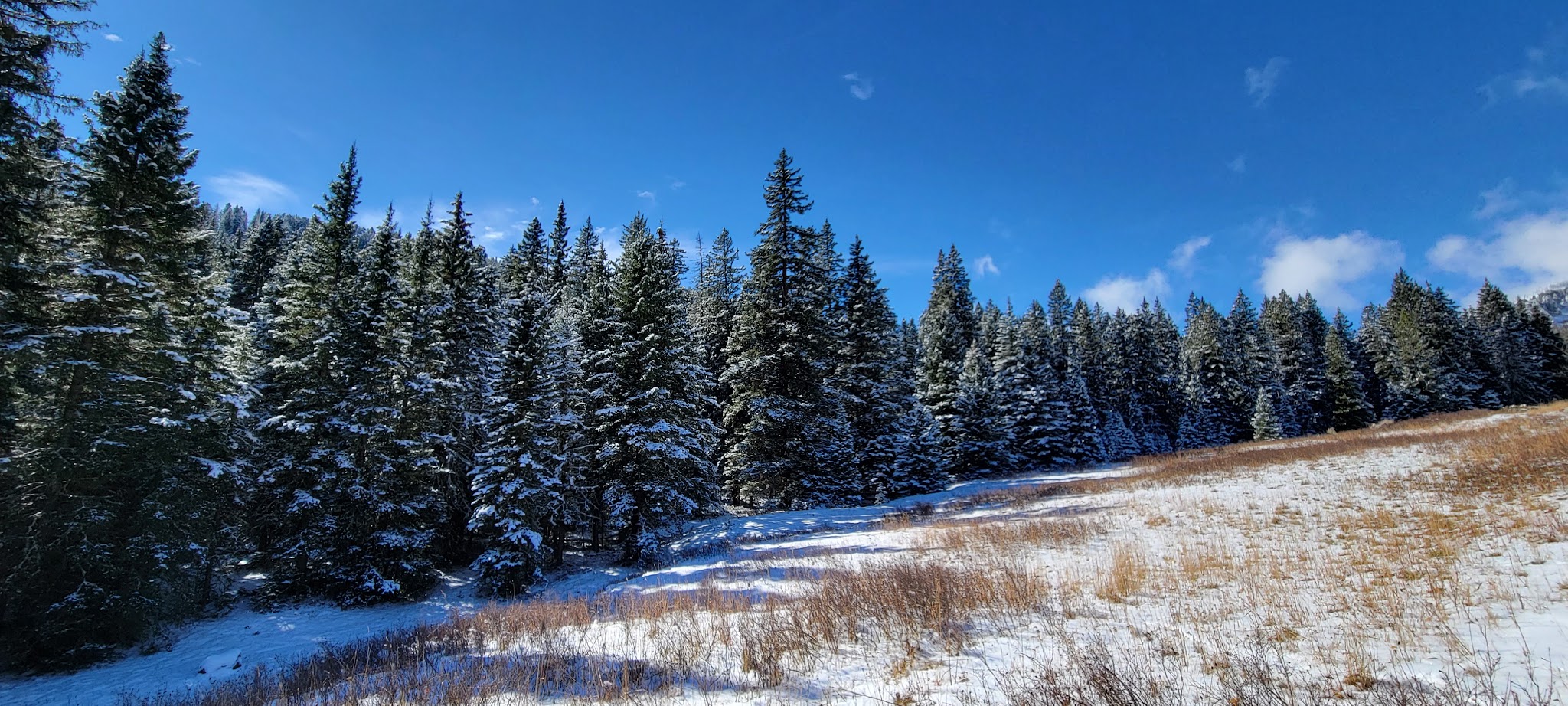 Tom Miner Campground