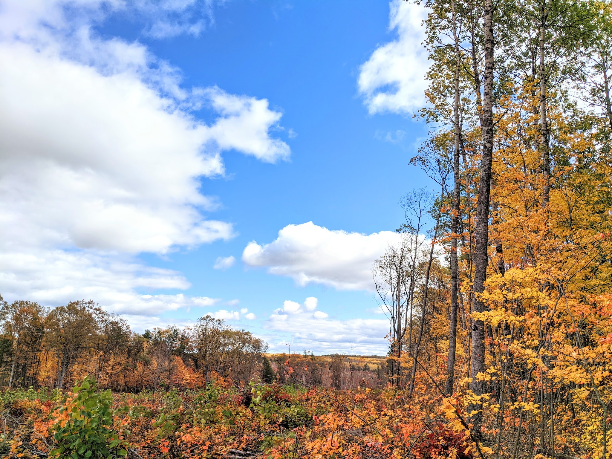 Tomahawk Lake State Forest Campground