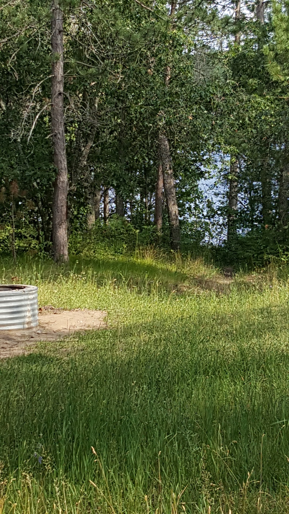 Tomahawk Lake State Forest Campground